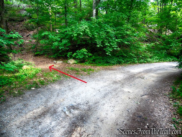 Sunken Mine Road - Fahnestock State Park