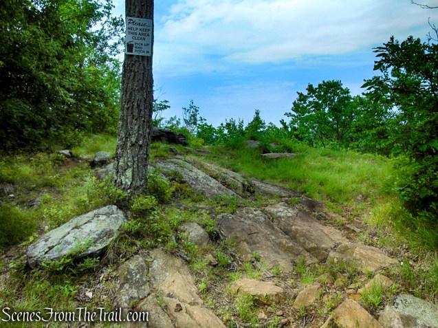 Unmarked Woods Road - Fahnestock State Park