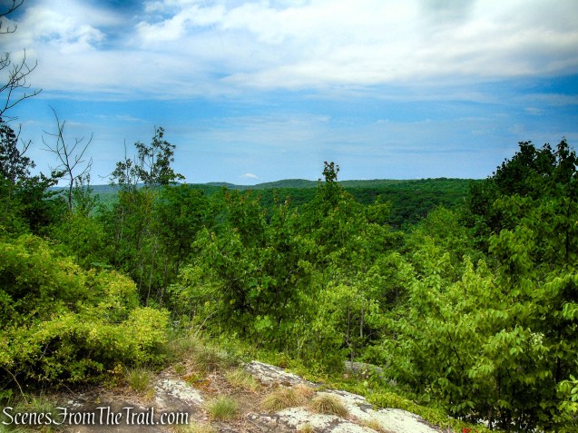 Unmarked Woods Road - Fahnestock State Park