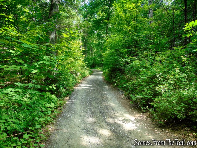 Sunken Mine Road - Fahnestock State Park