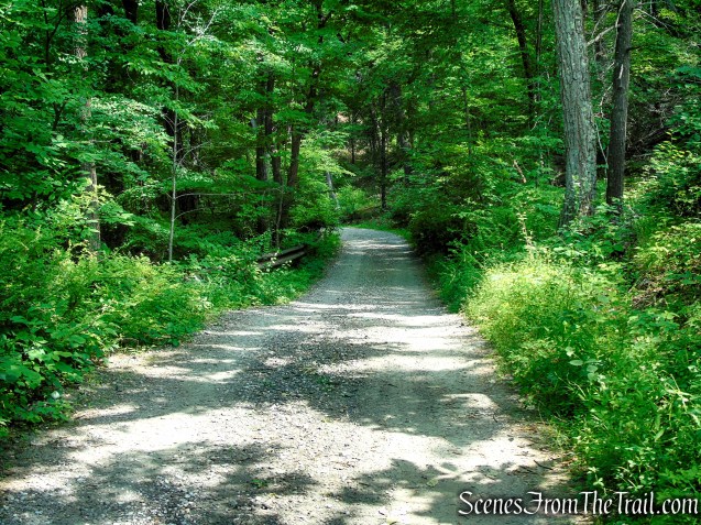 Sunken Mine Road - Fahnestock State Park
