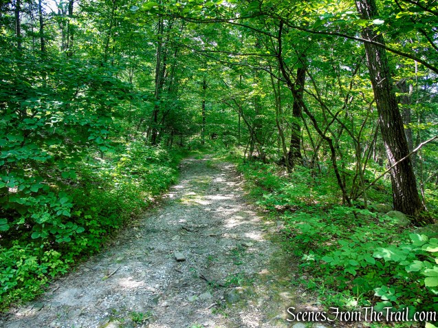 Abandoned section of Bell Hollow Road