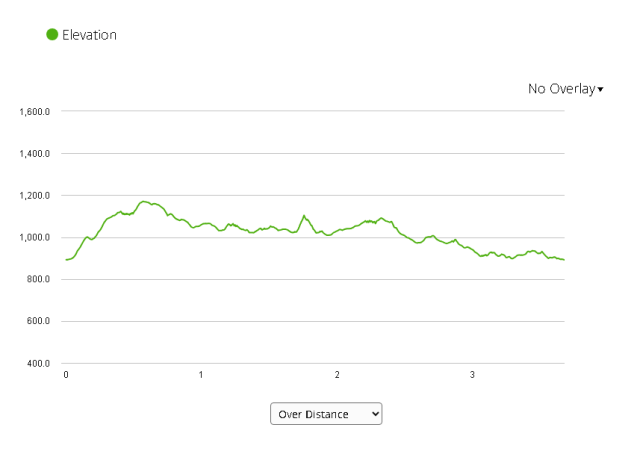Elevation Profile - Pine Swamp Short Loop