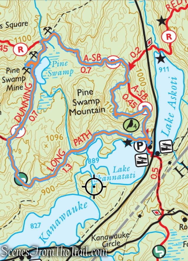 Pine Swamp Short Loop