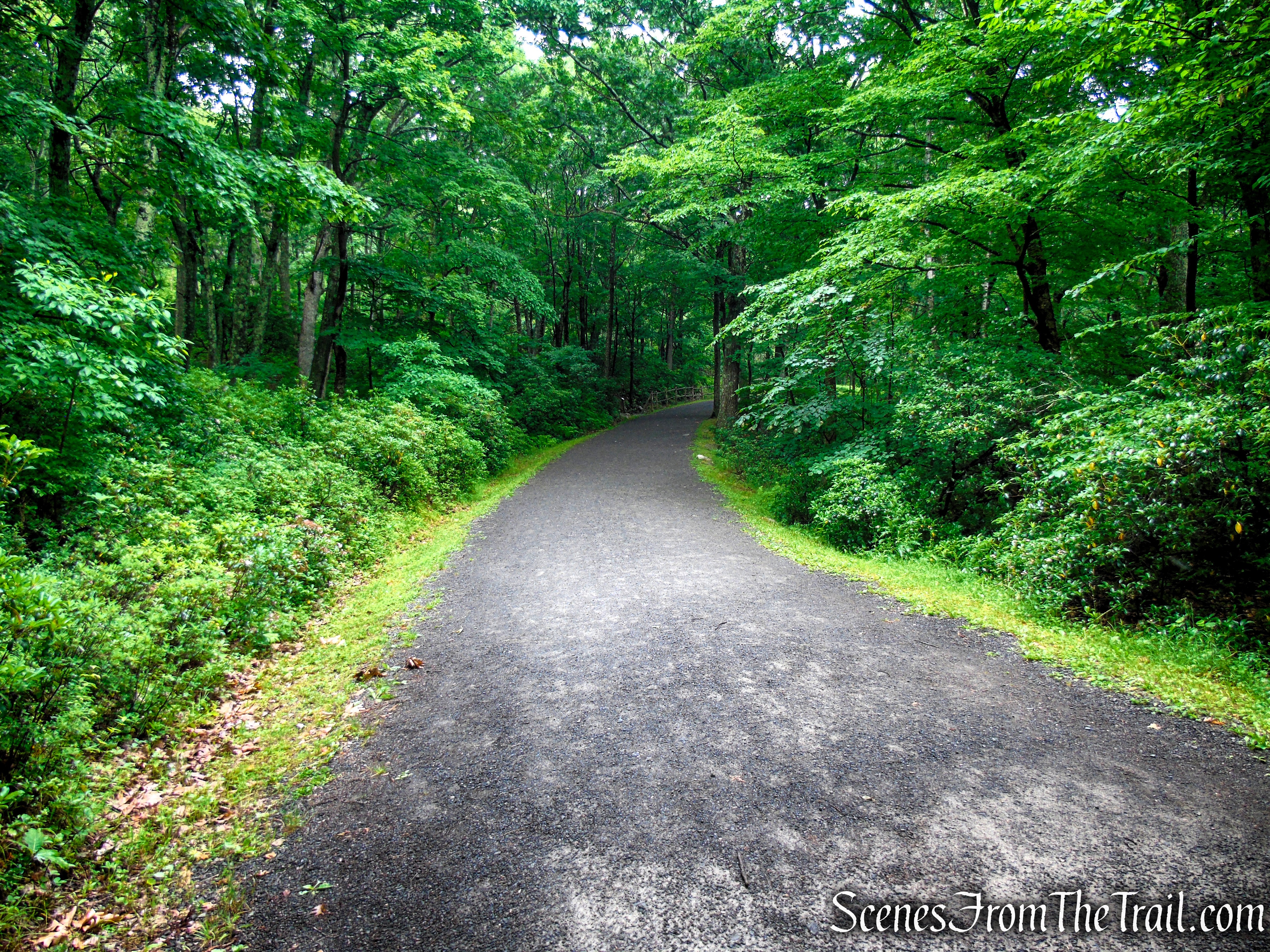 Loop Road - Sam's Point Area