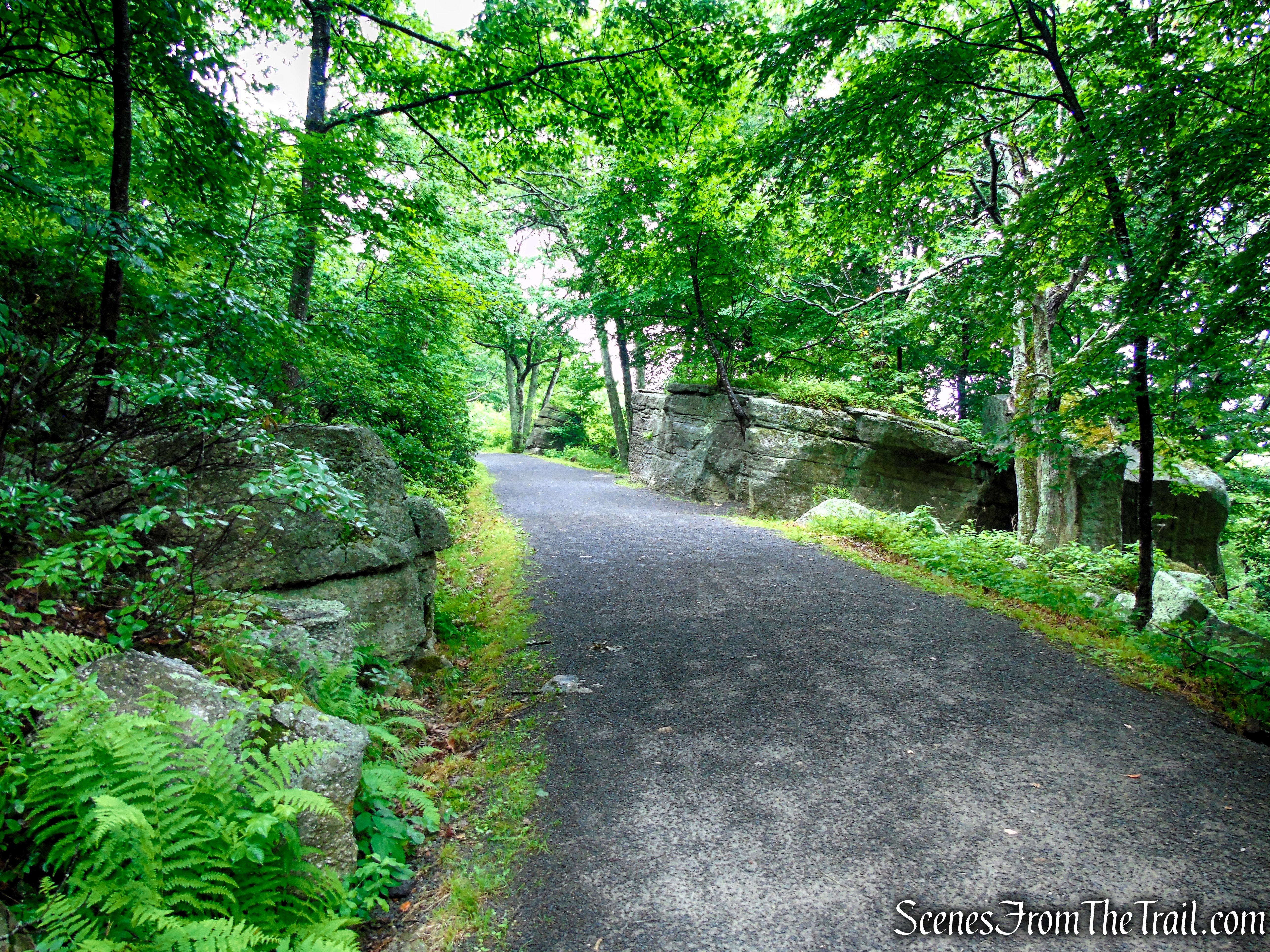 Loop Road - Sam's Point Area