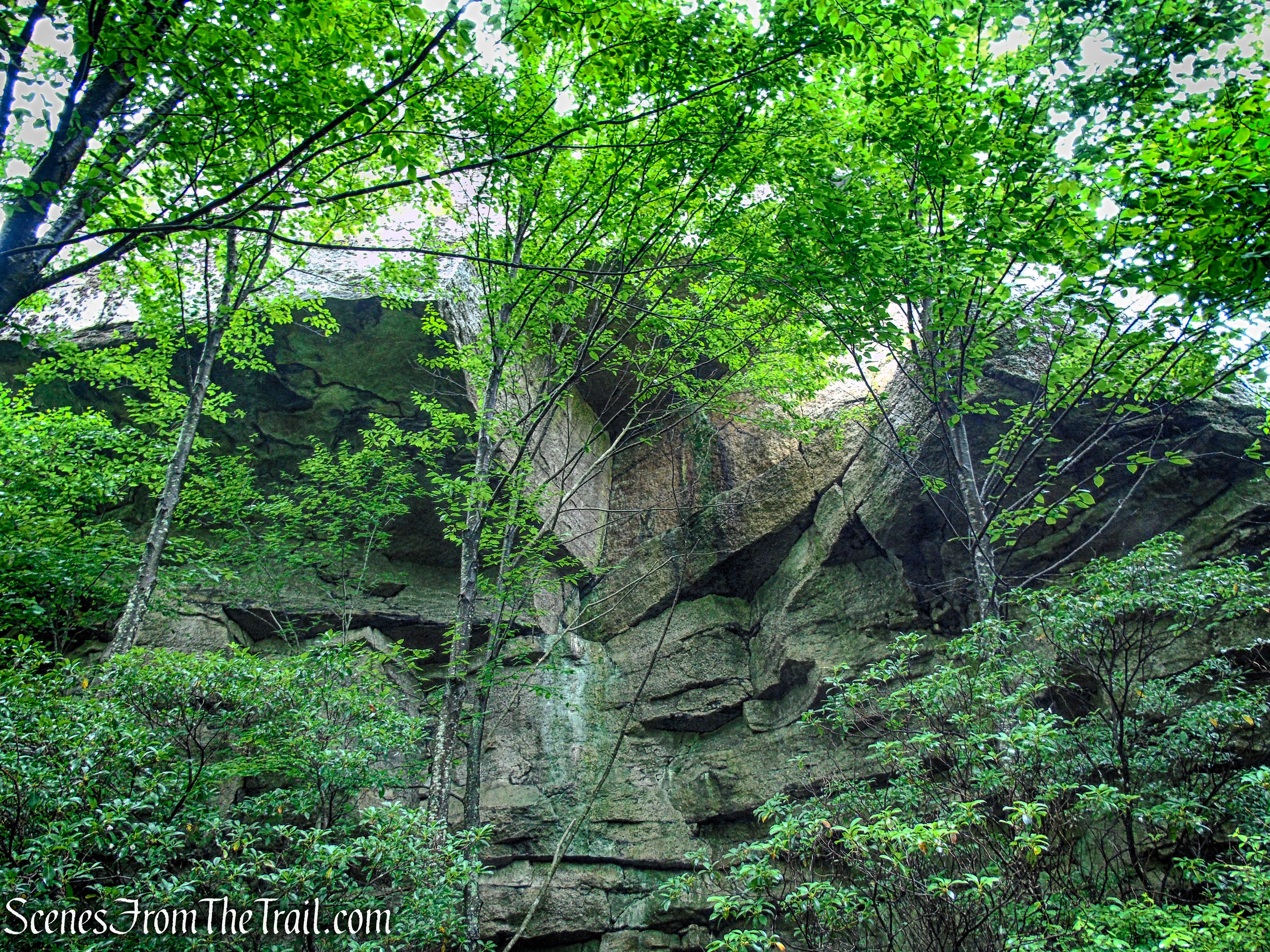 Loop Road - Sam's Point Area