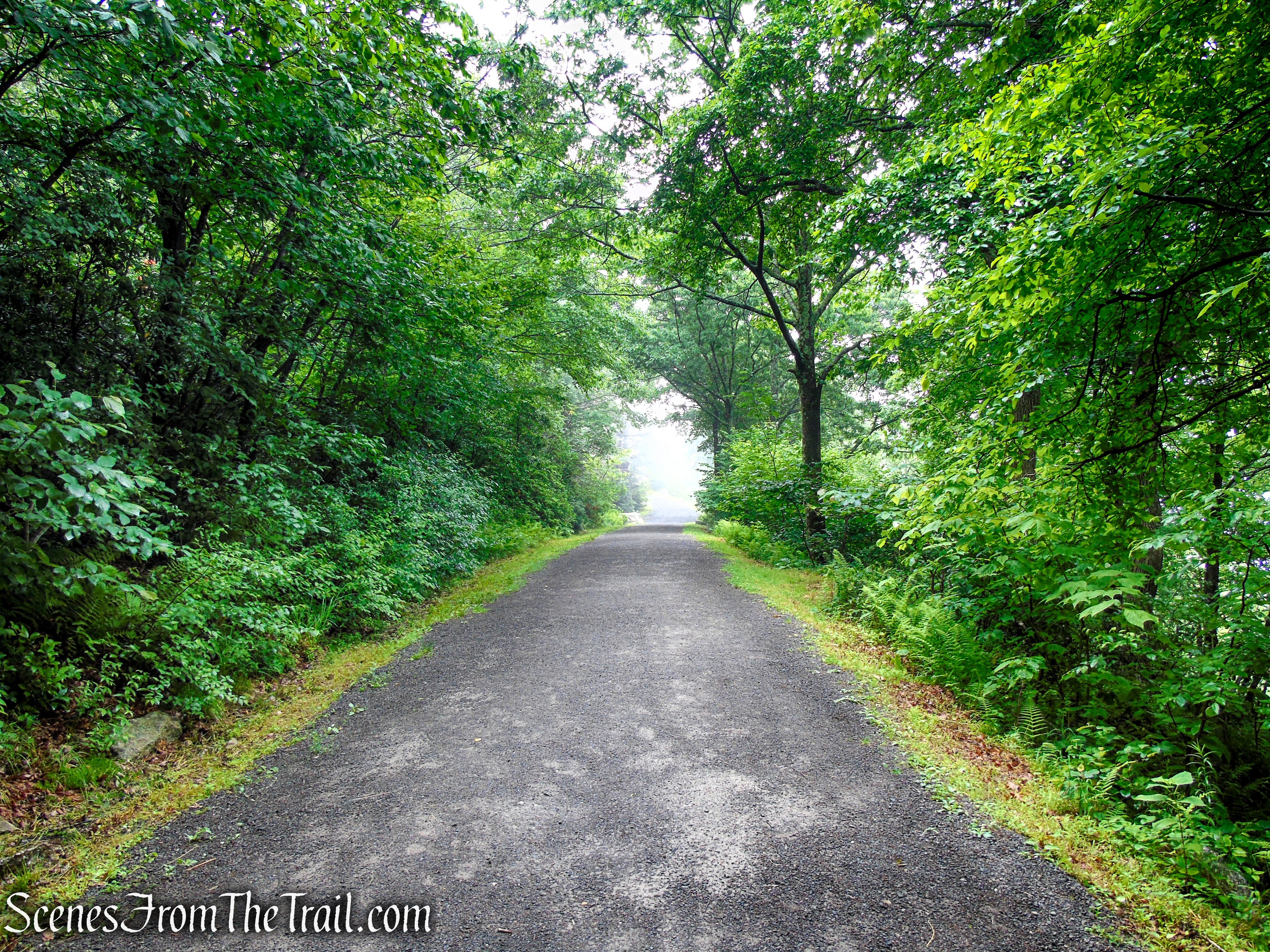Loop Road - Sam's Point Area