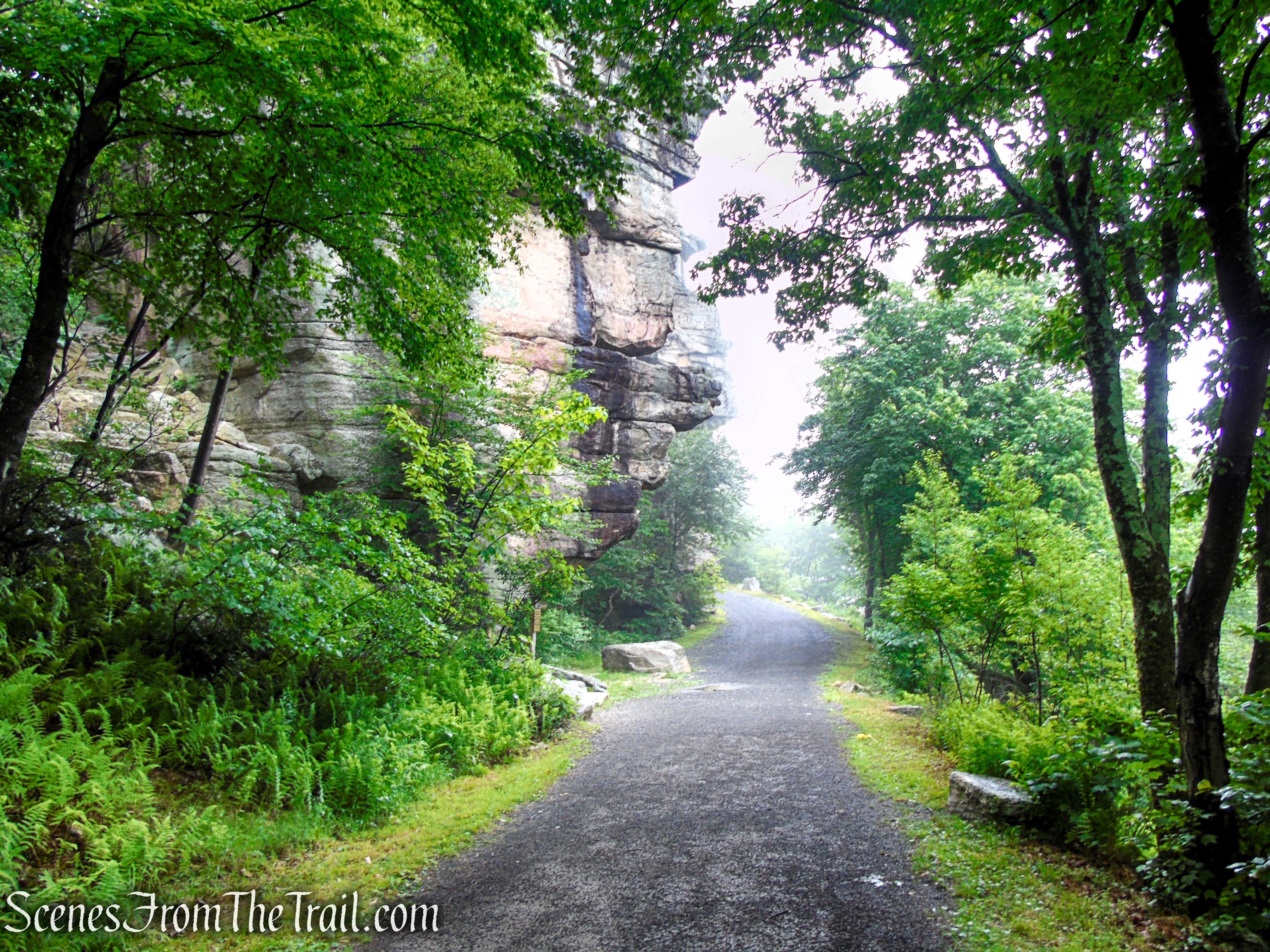 Loop Road - Sam's Point Area