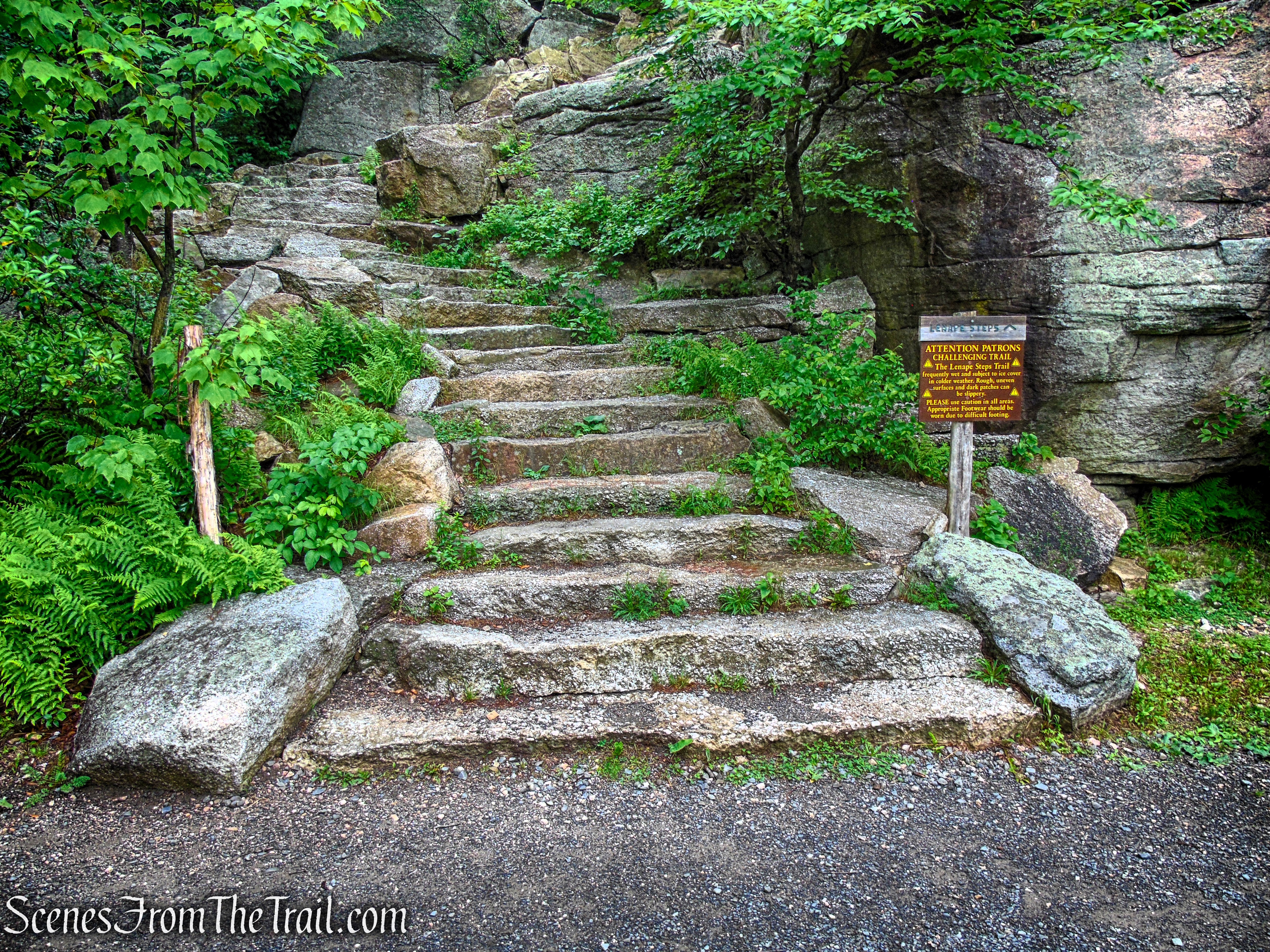 Lenape Steps - Sam's Point Area