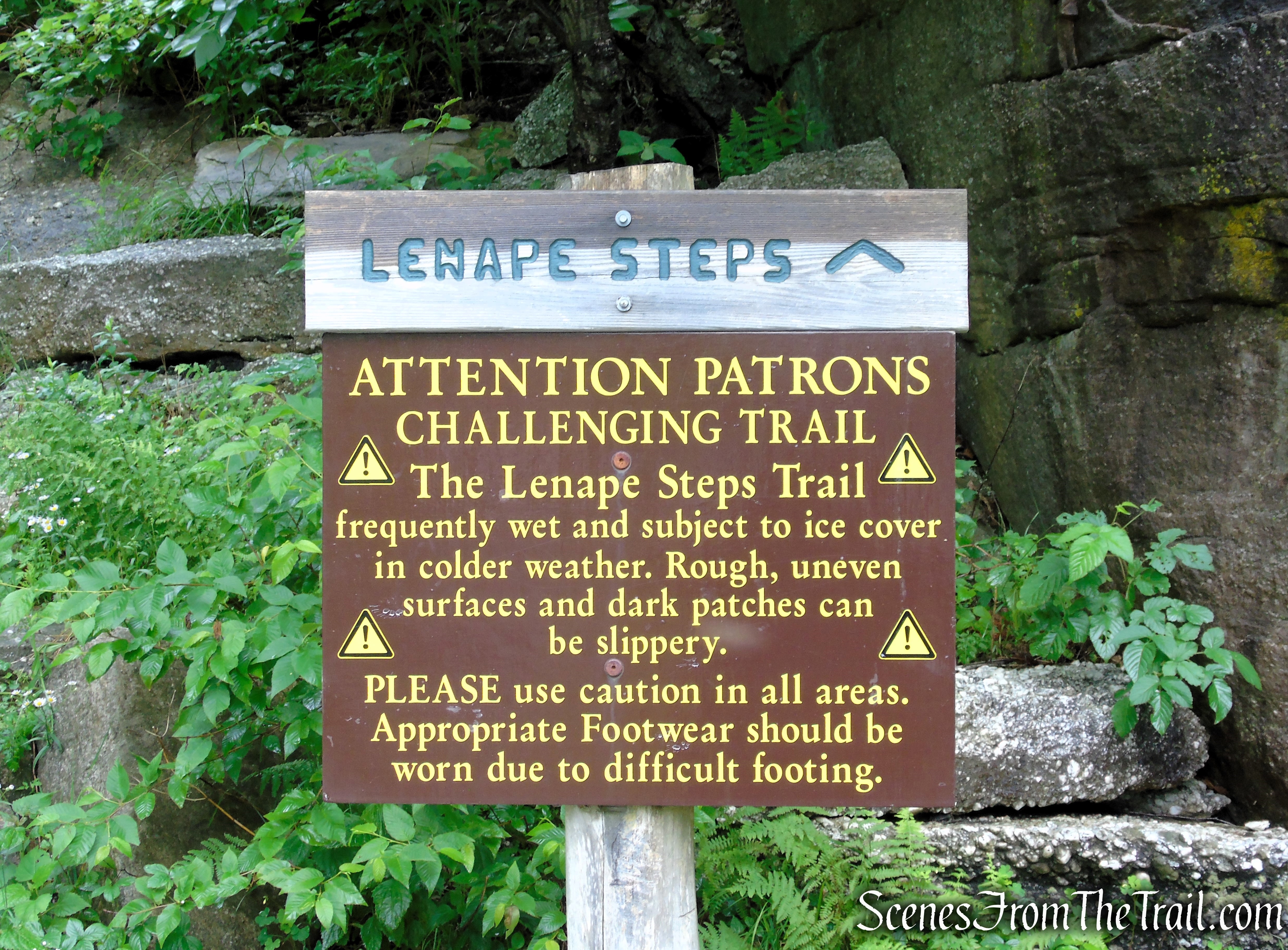 Lenape Steps - Sam's Point Area