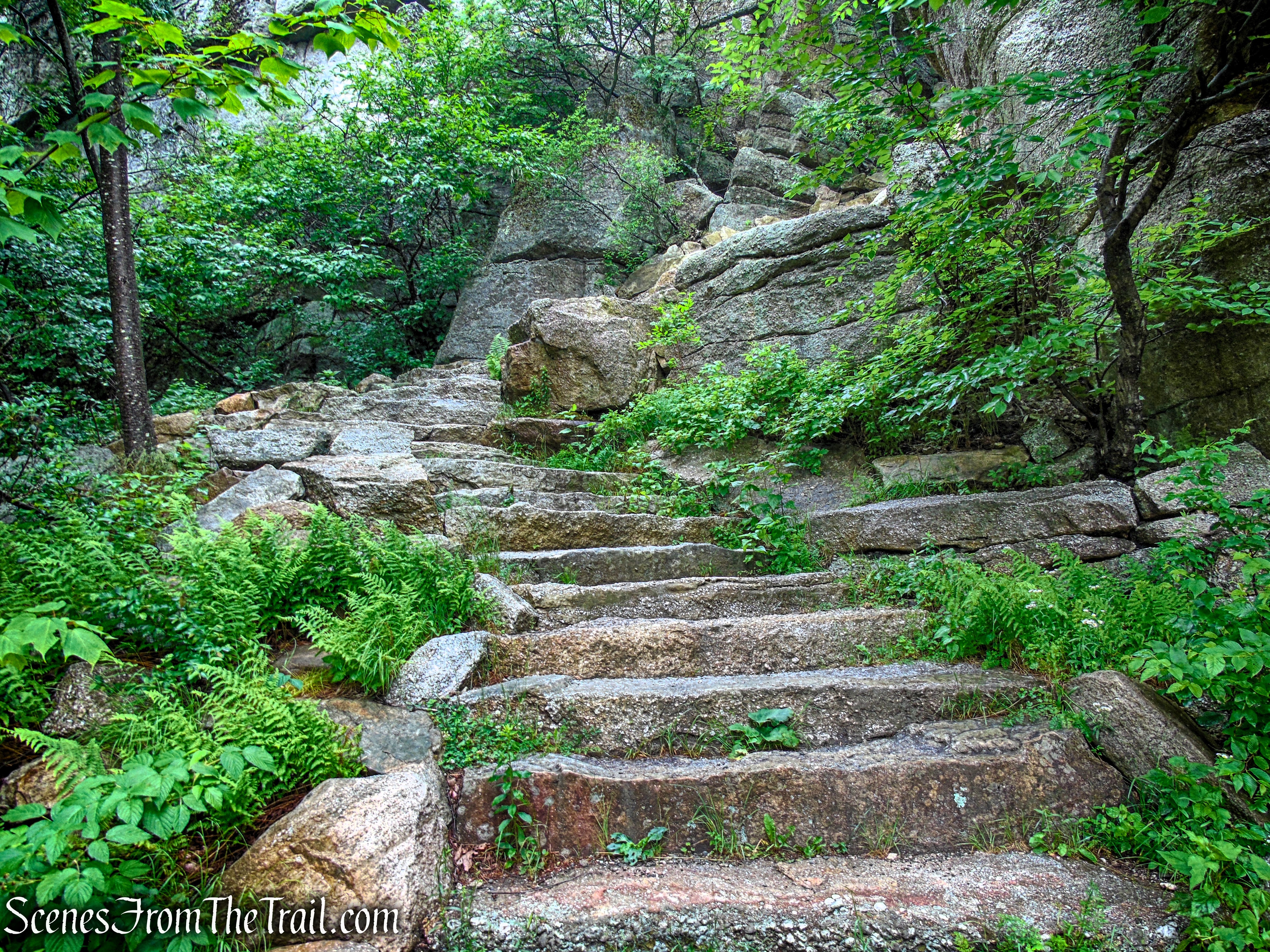 Lenape Steps - Sam's Point Area