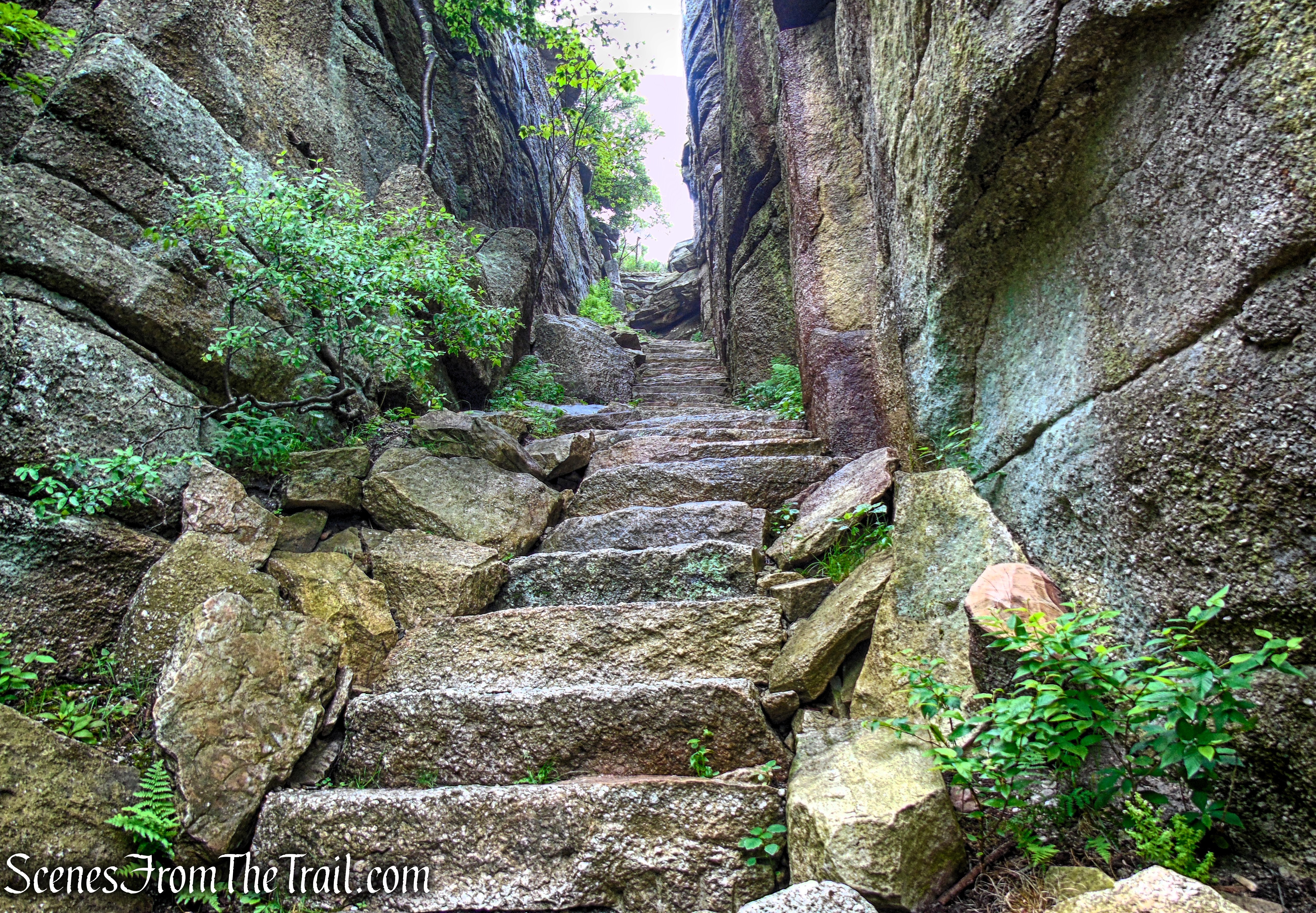 Lenape Steps - Sam's Point Area