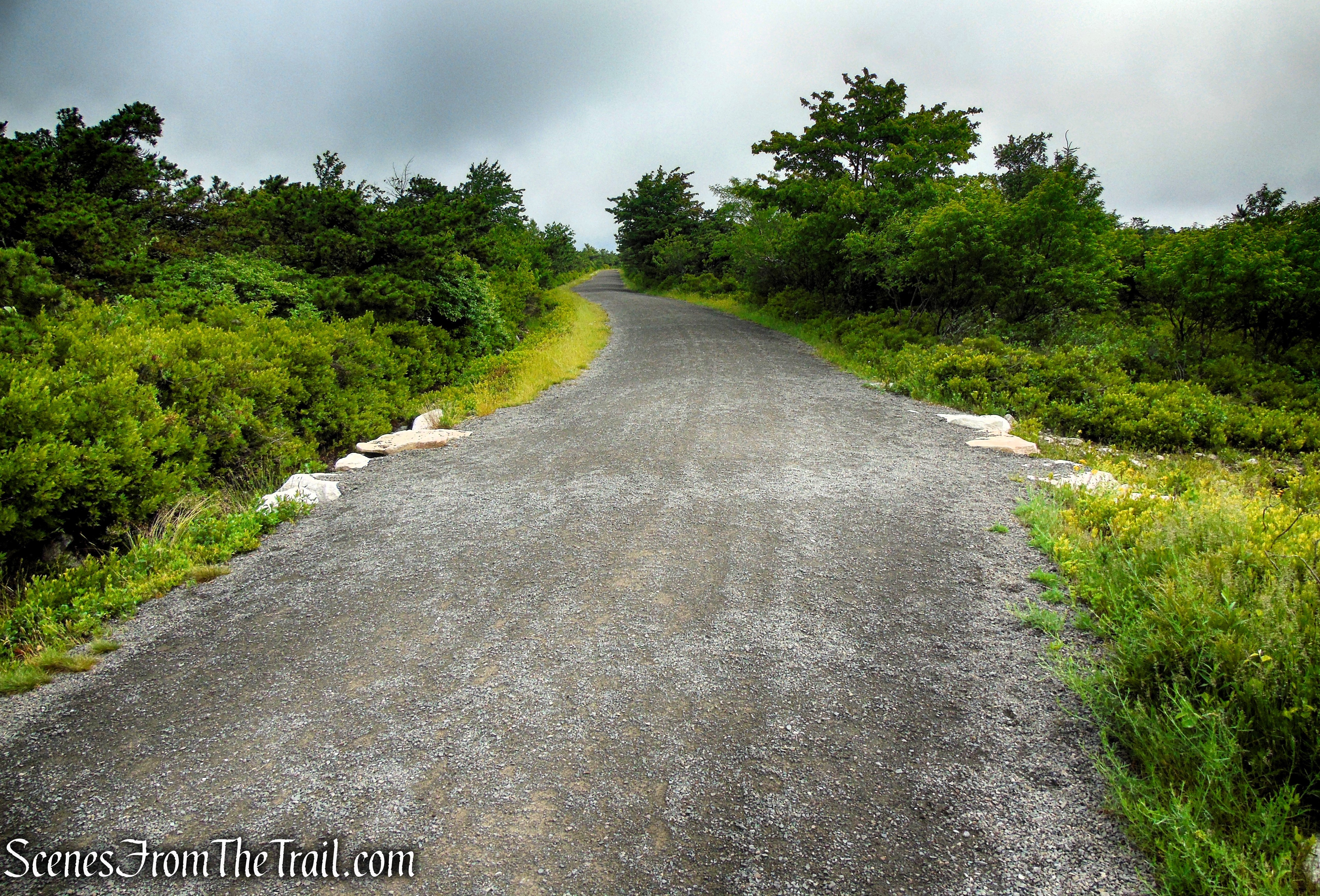 Loop Road - Sam's Point Area