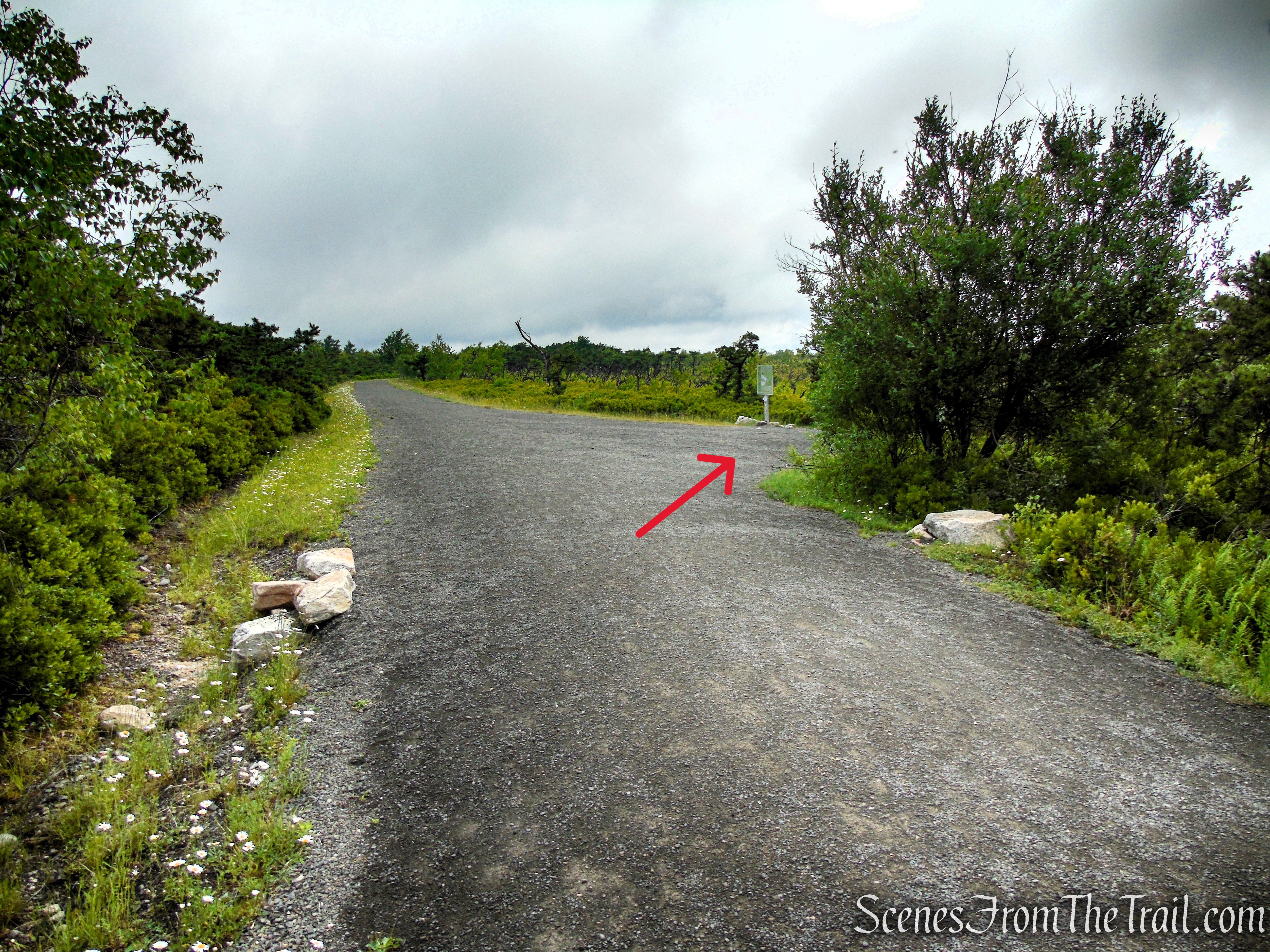 Turn right on Ice Caves Road.