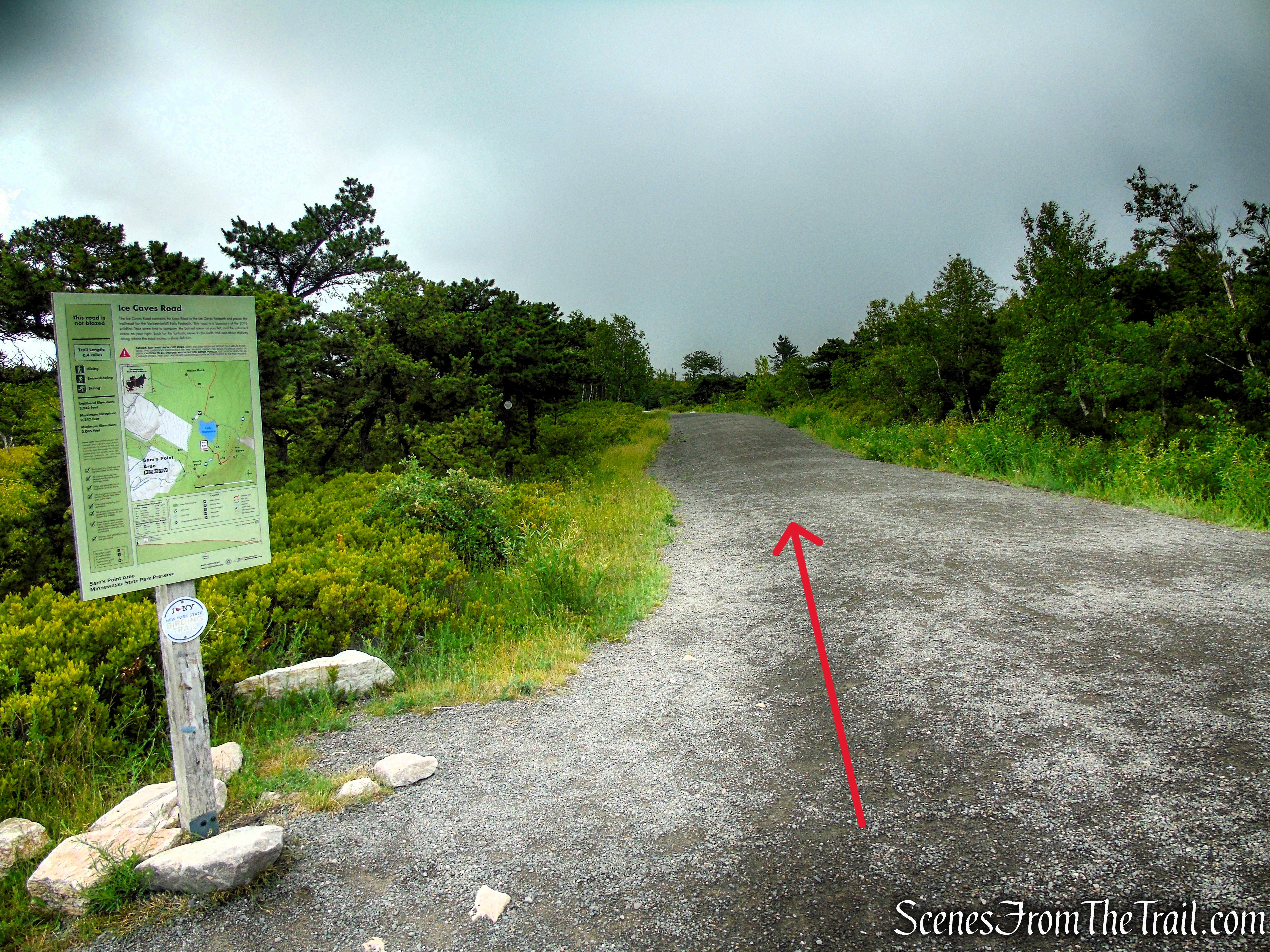 Ice Caves Road - Sam's Point Area
