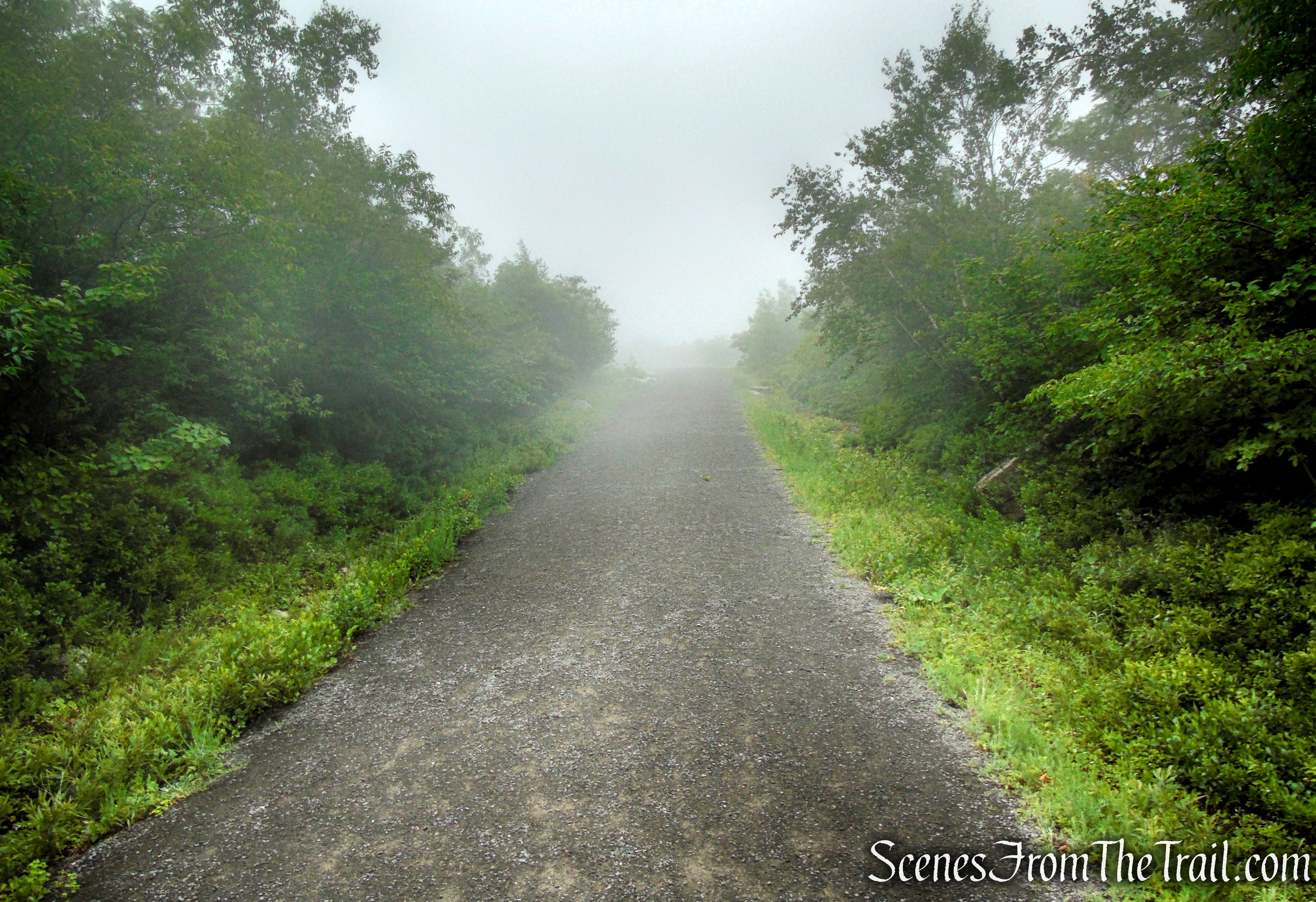 Ice Caves Road - Sam's Point Area