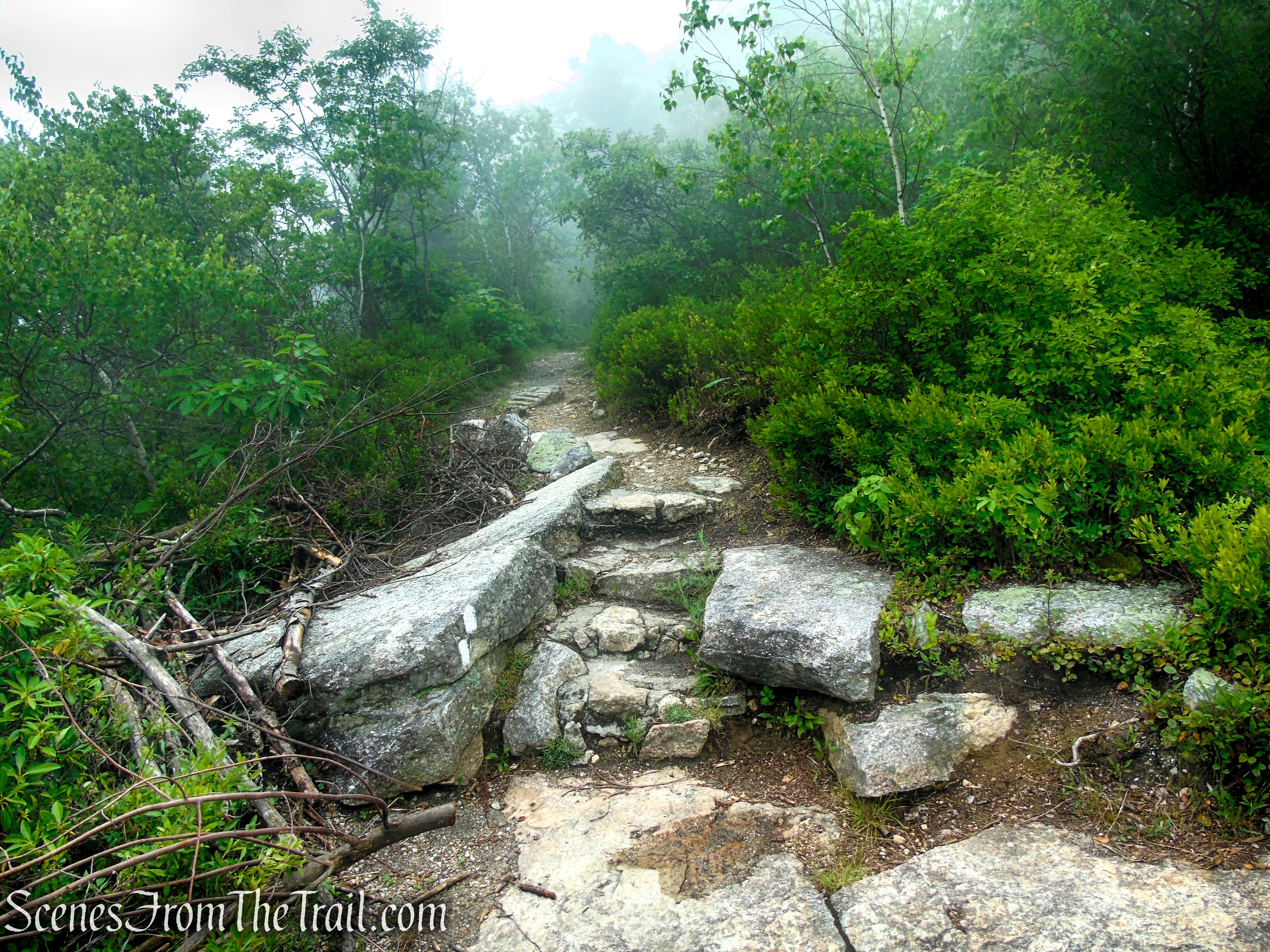 Ice Caves Trail - Sam's Point Area