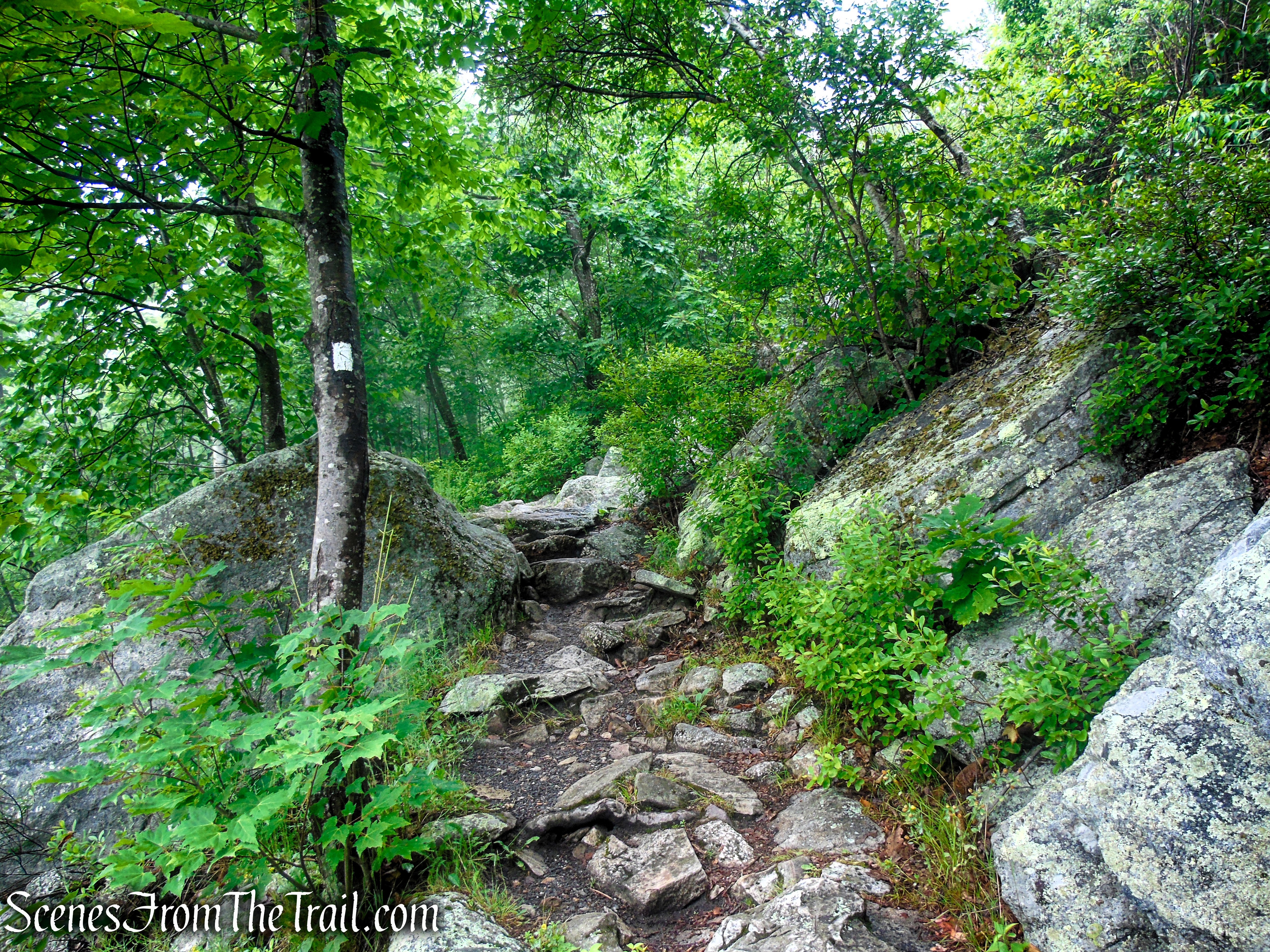Ice Caves Trail - Sam's Point Area