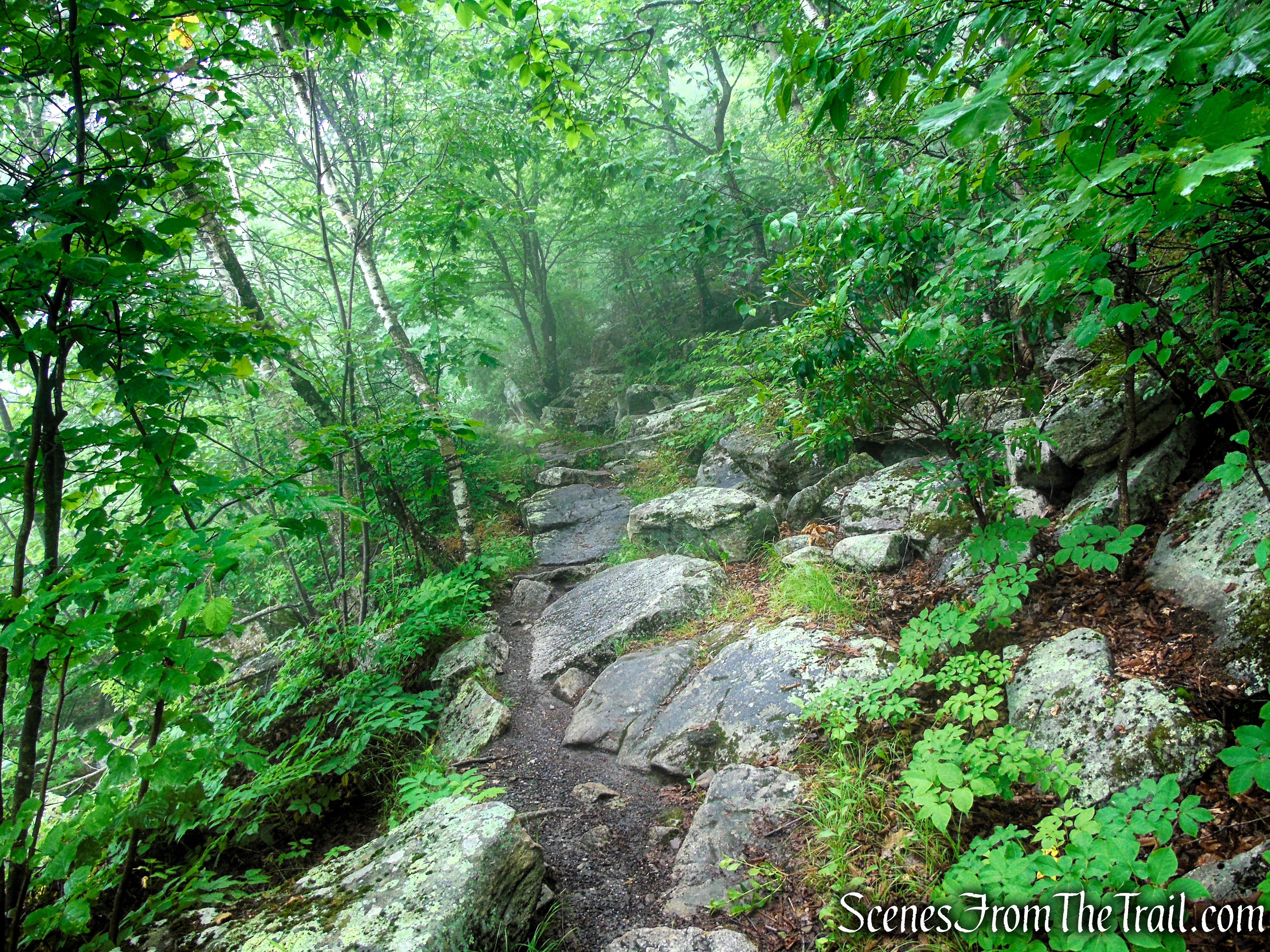 Ice Caves Trail - Sam's Point Area