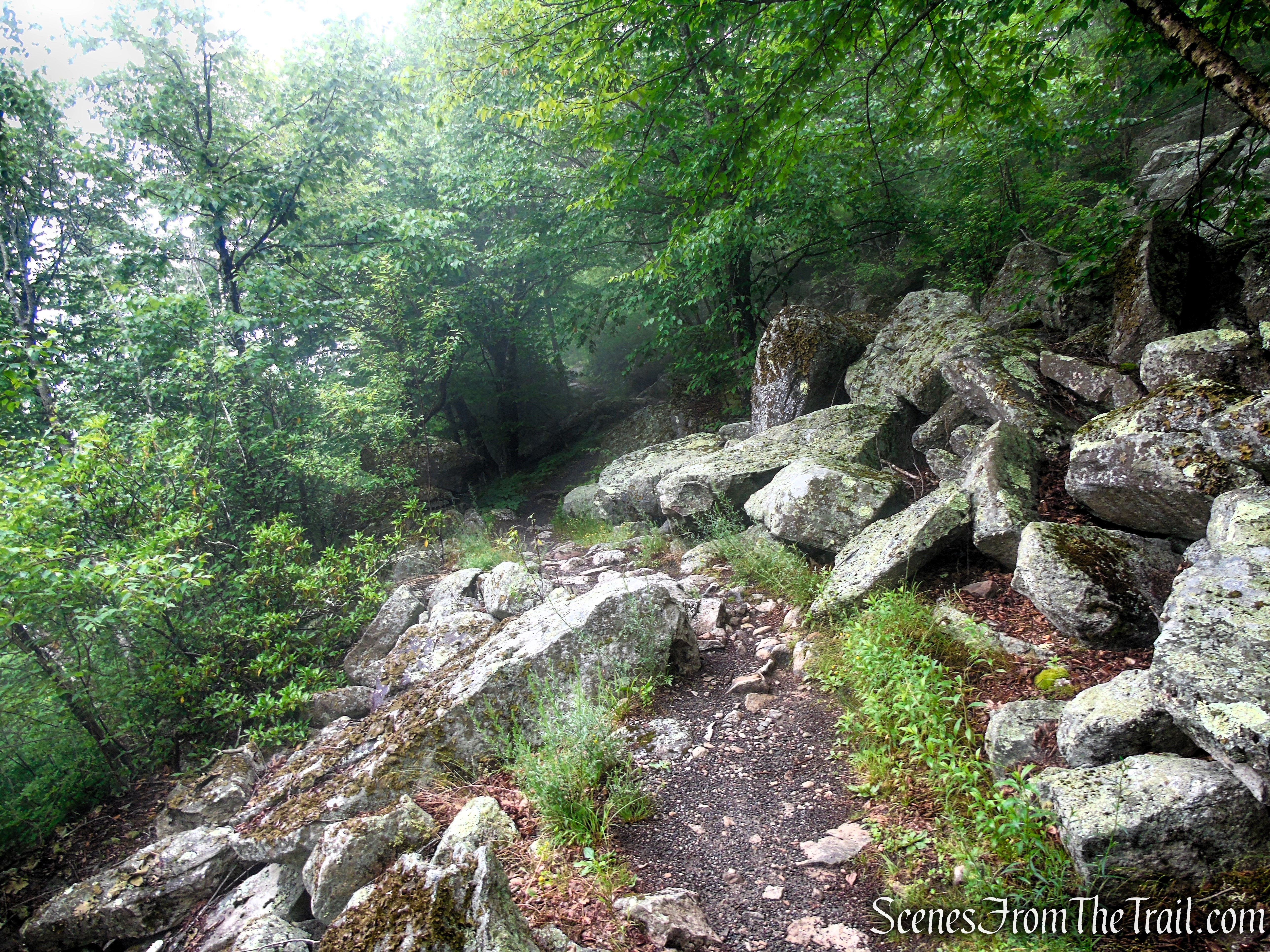 Ice Caves Trail - Sam's Point Area