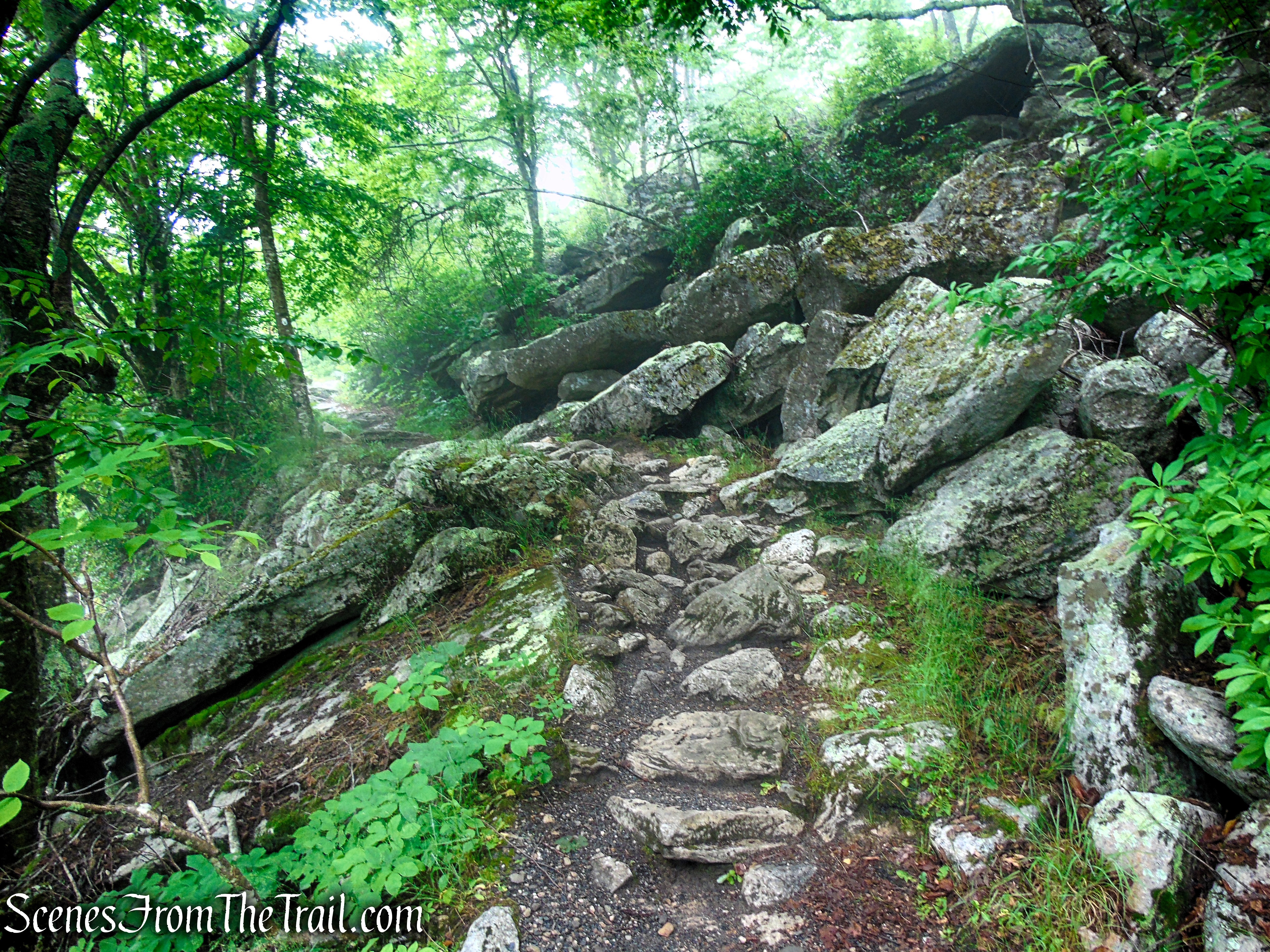 Ice Caves Trail - Sam's Point Area