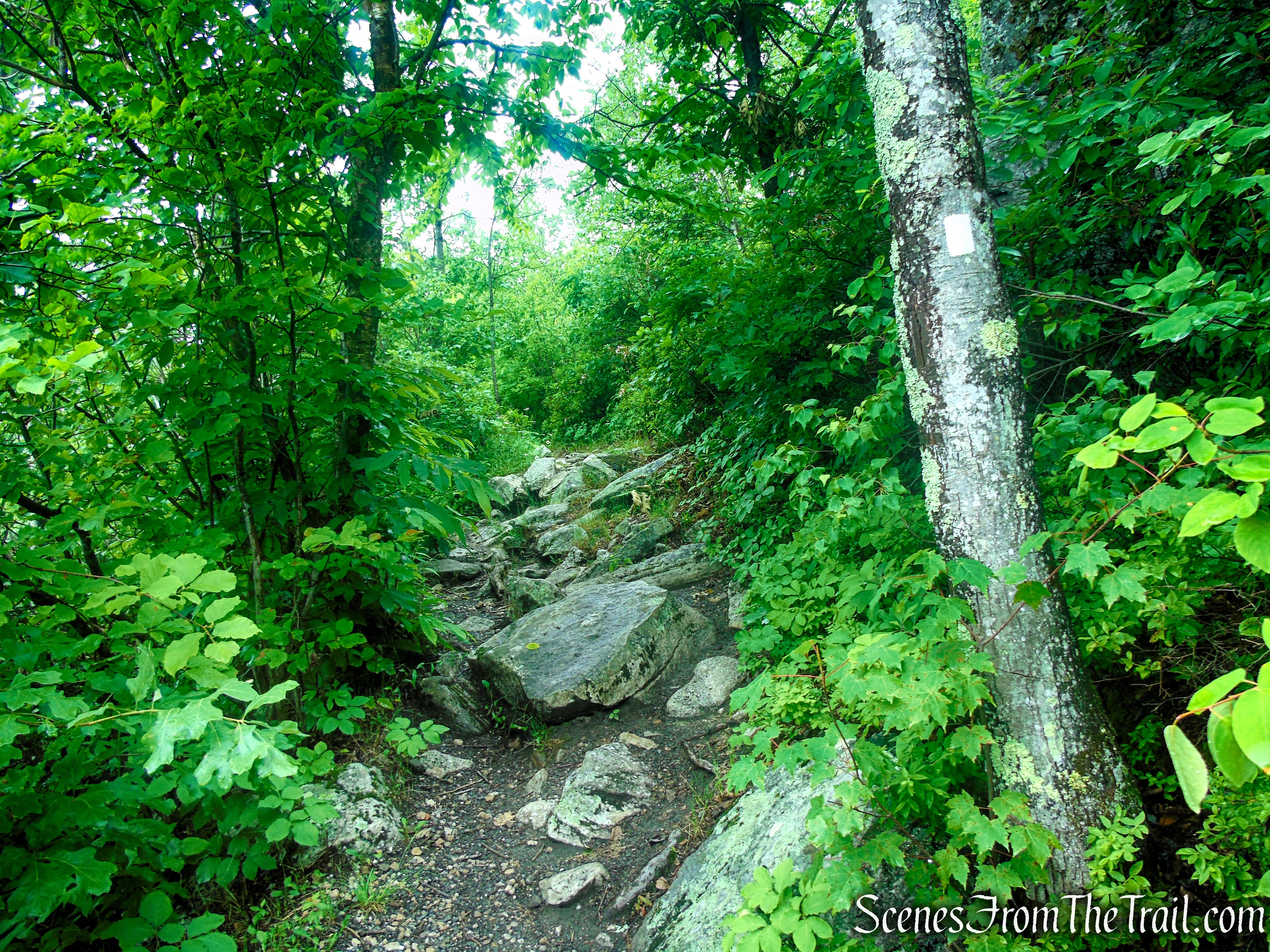 Ice Caves Trail - Sam's Point Area