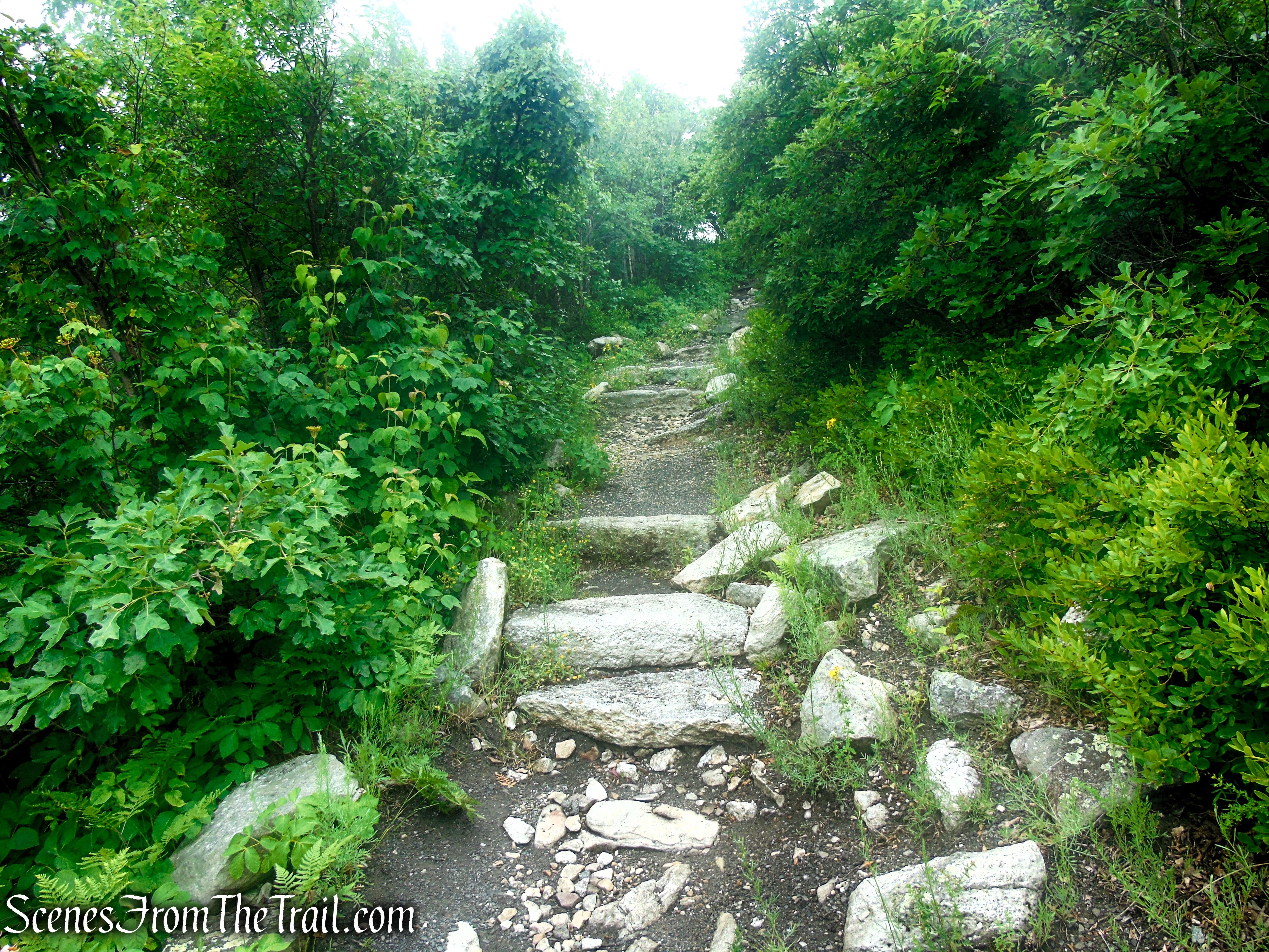 Ice Caves Trail - Sam's Point Area