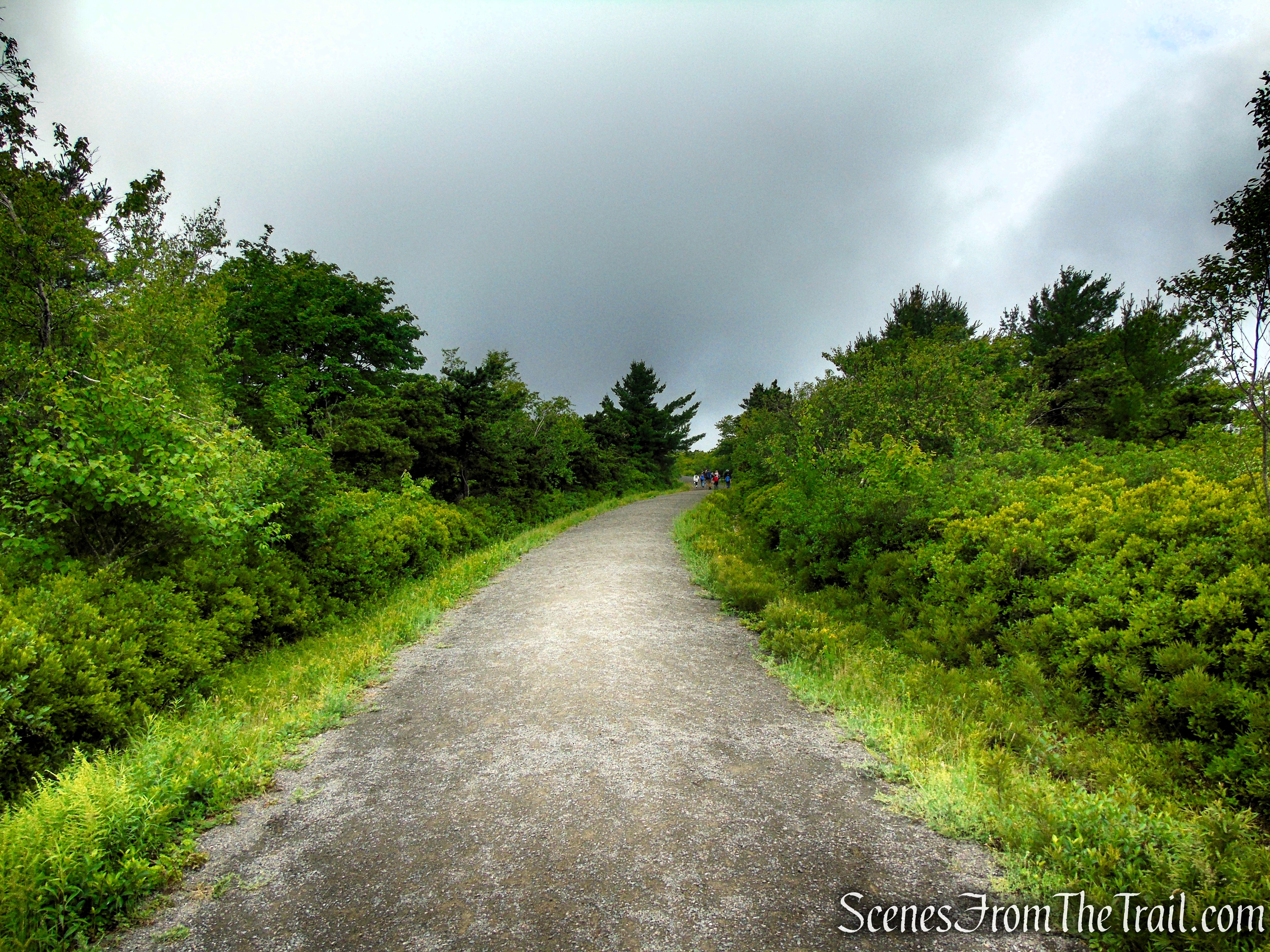 Ice Caves Road - Sam's Point Area