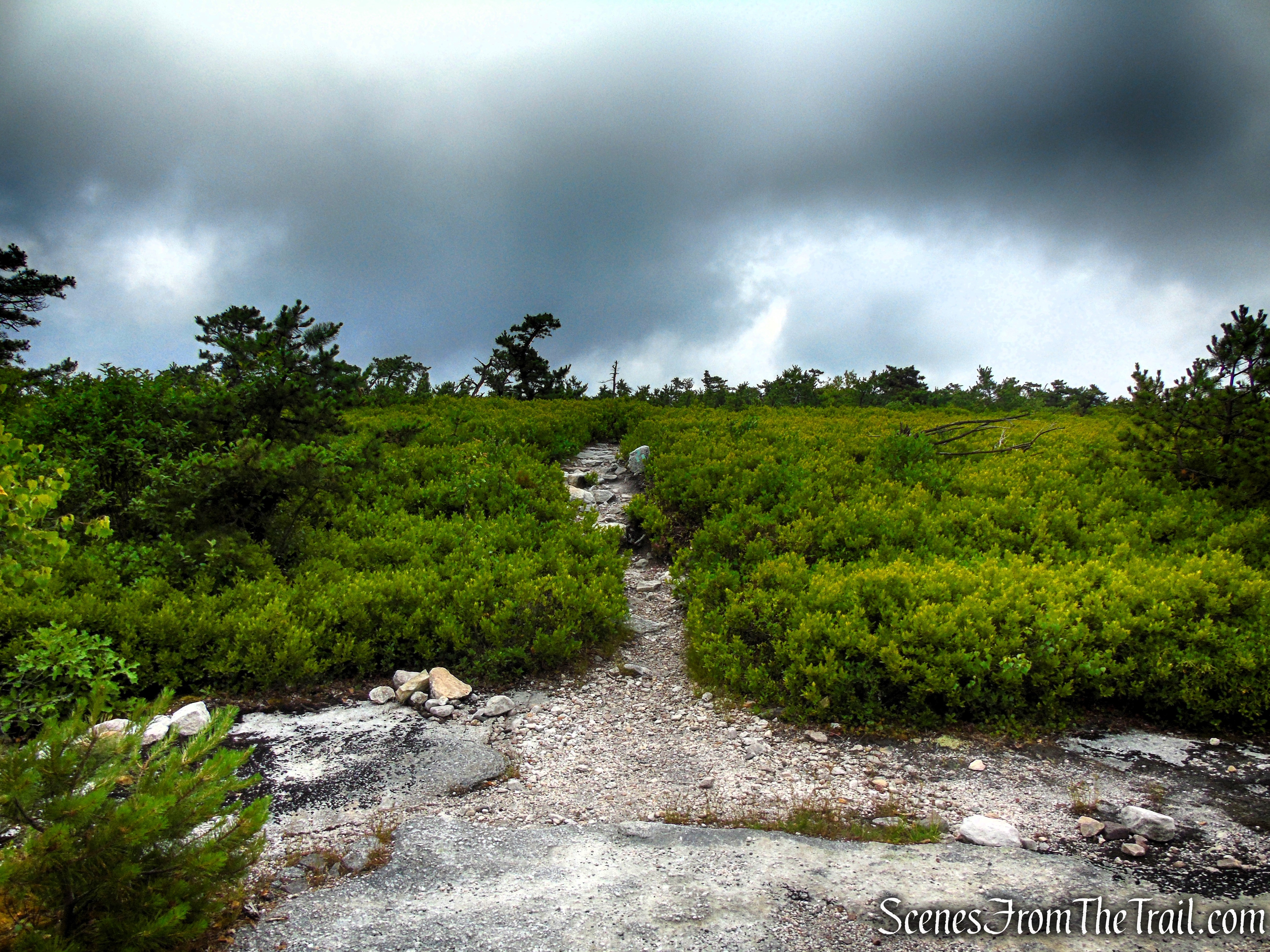 Verkeerderkill Falls Trail - Sam's Point Area