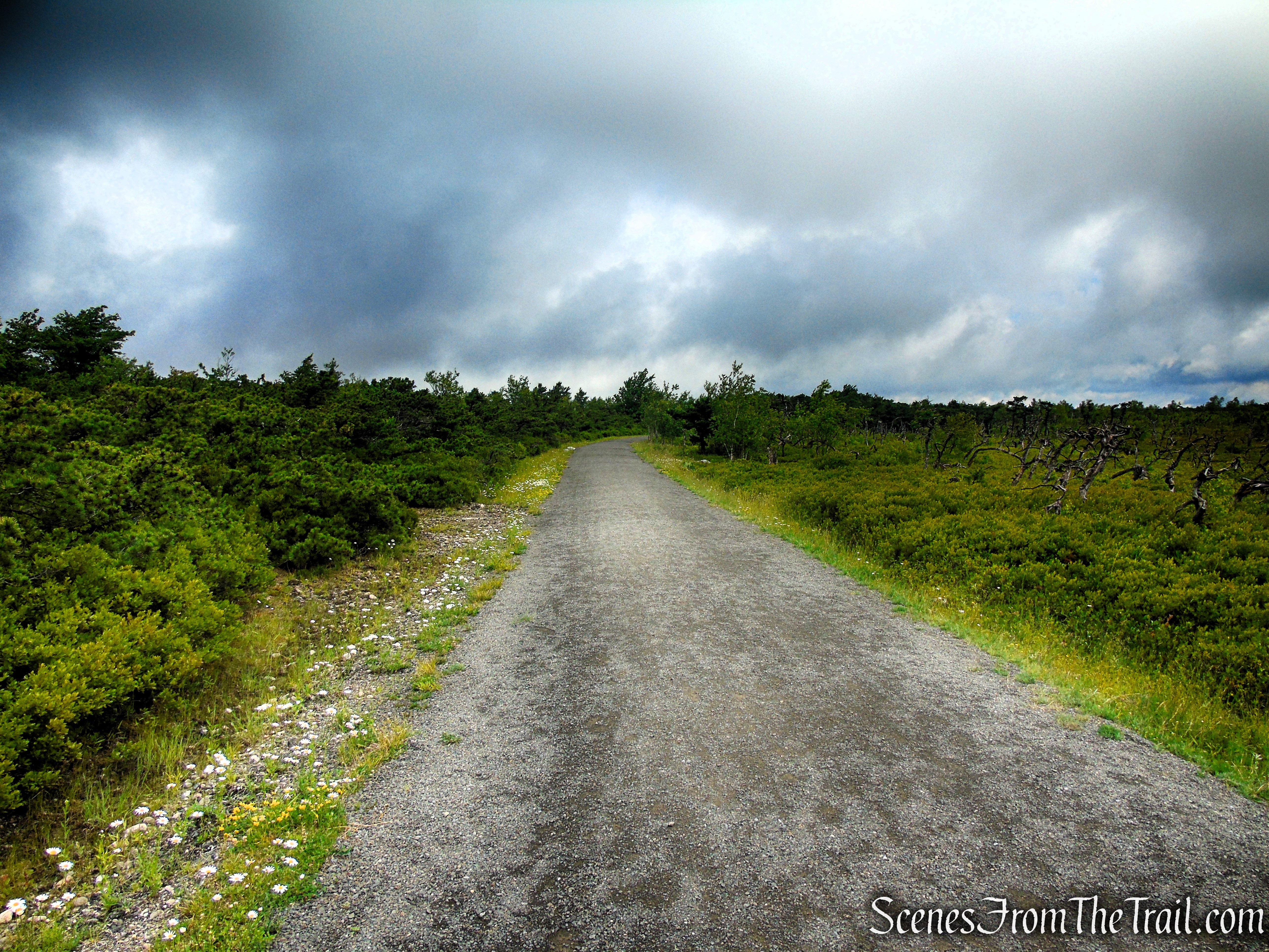 Loop Road - Sam's Point Area