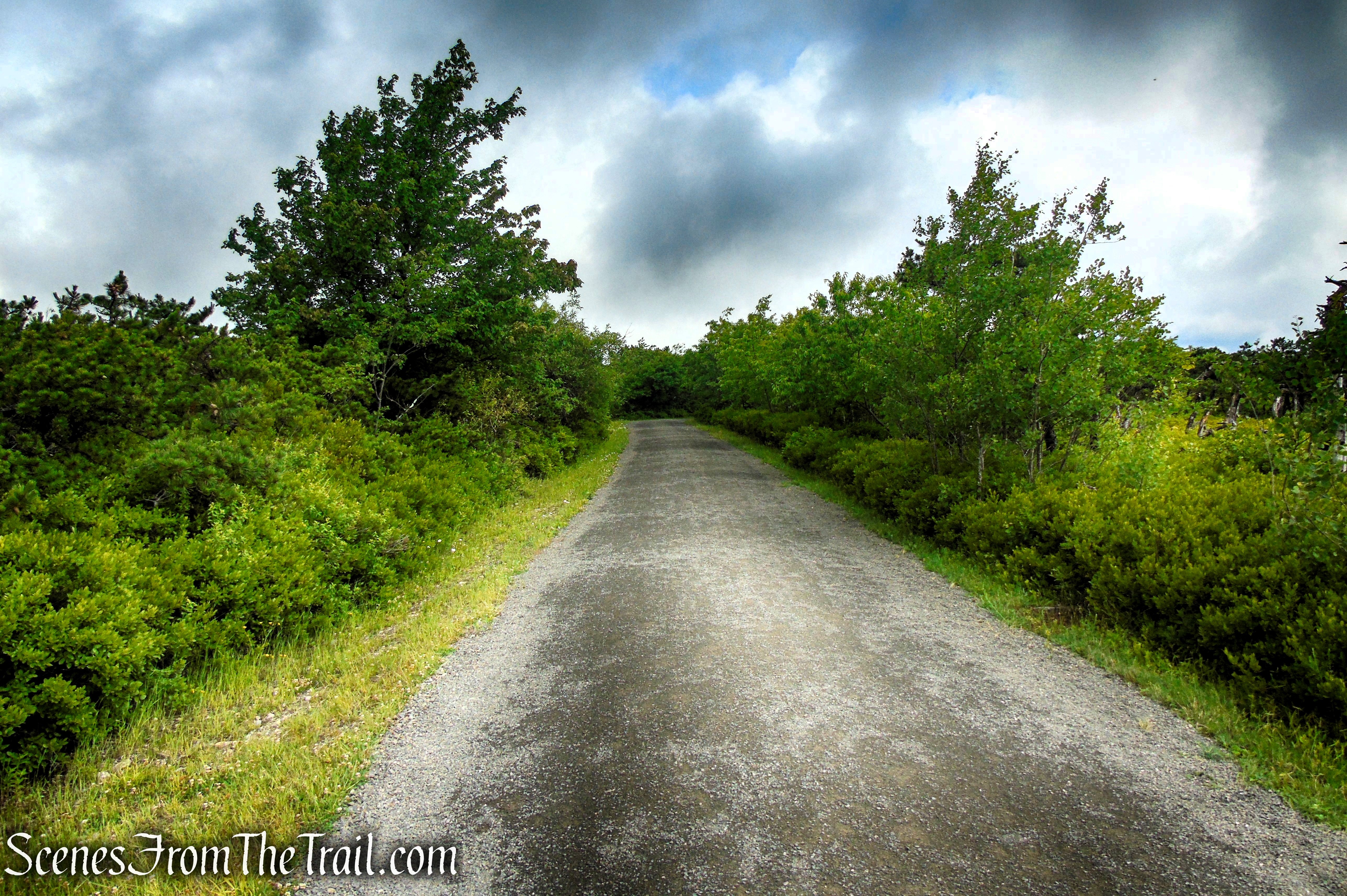 Loop Road - Sam's Point Area