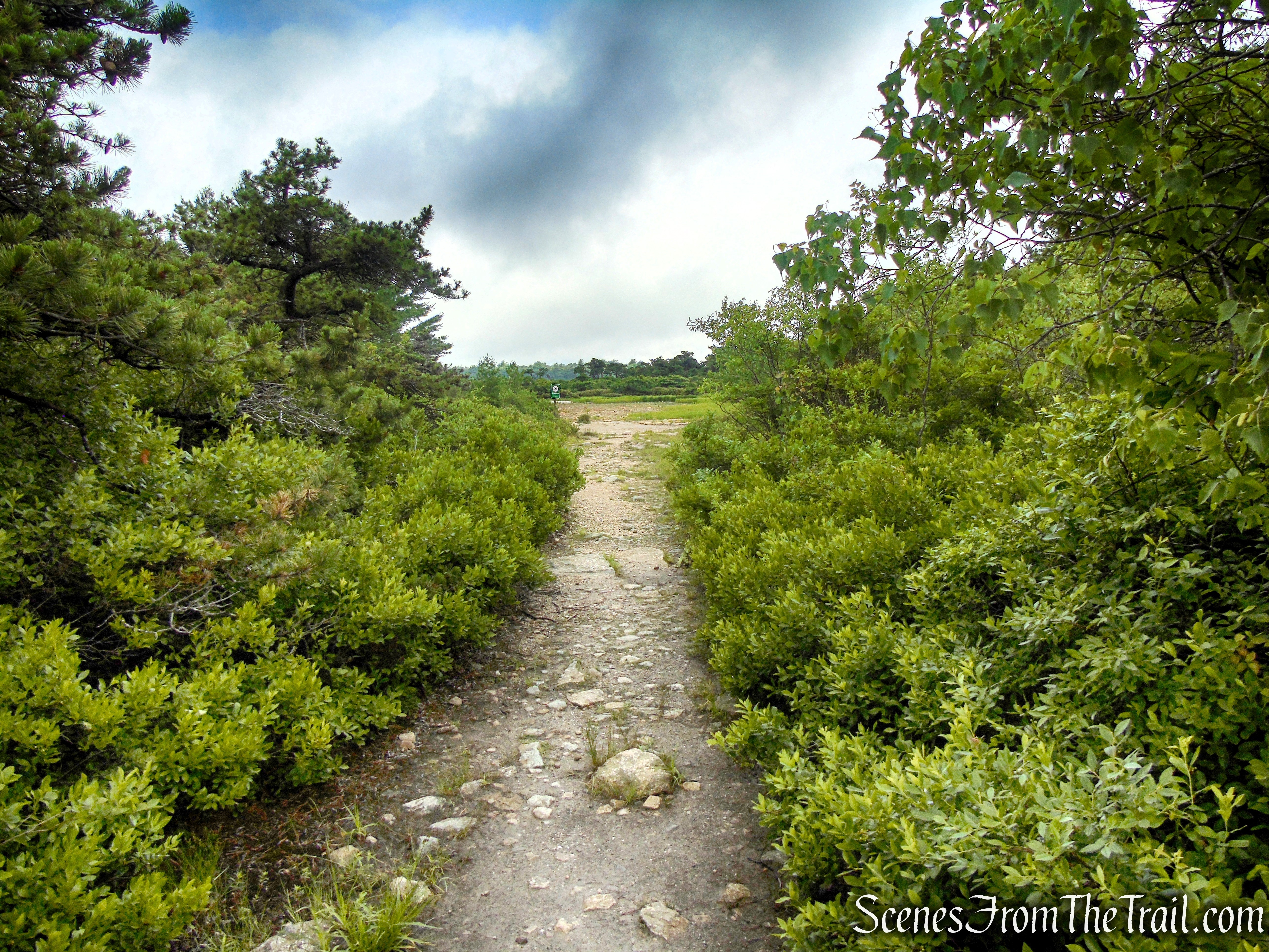 Unmarked path to Lake Maratanza