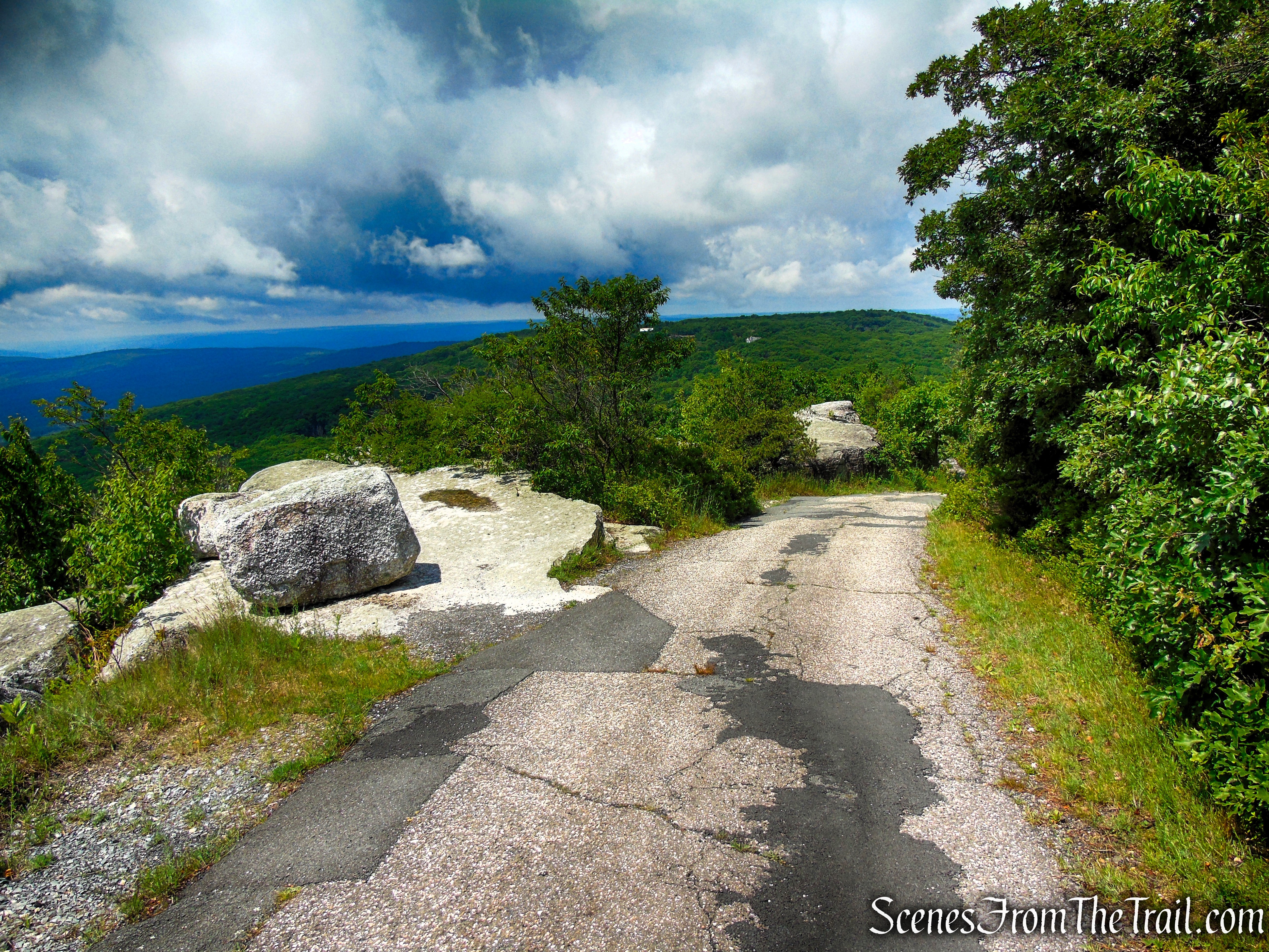 Loop Road - Sam's Point Area