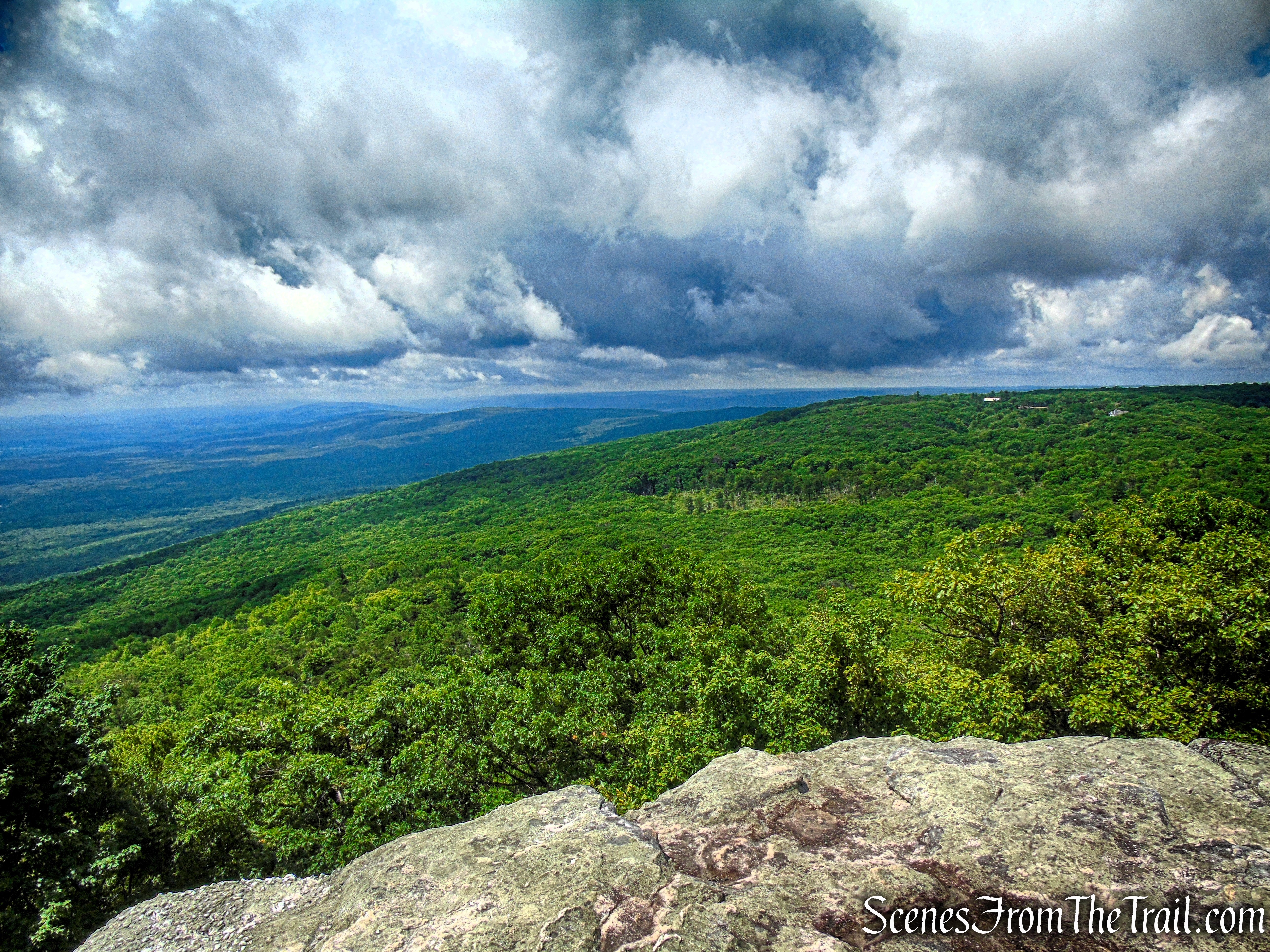 Loop Road - Sam's Point Area