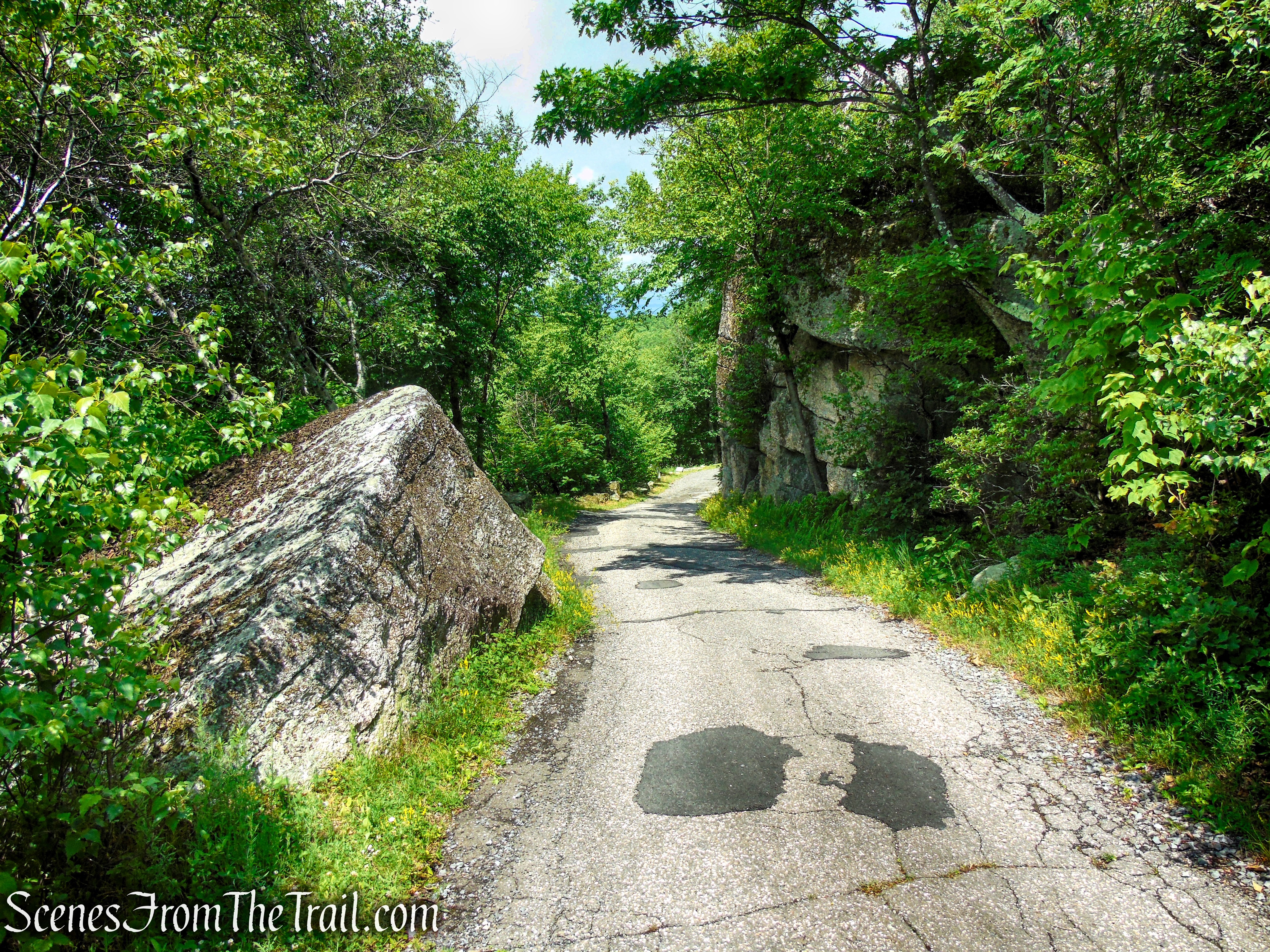 Loop Road - Sam's Point Area