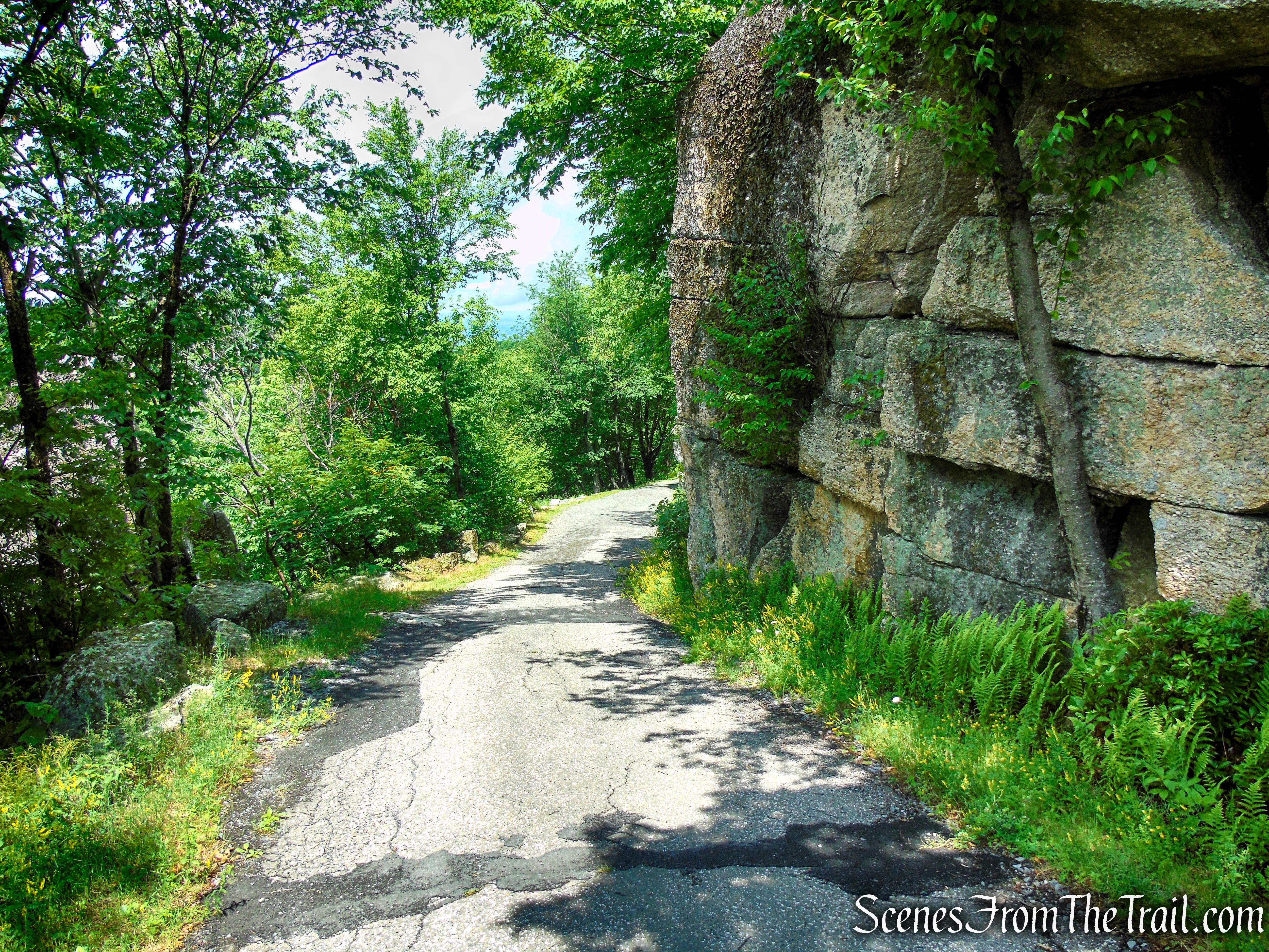 Loop Road - Sam's Point Area