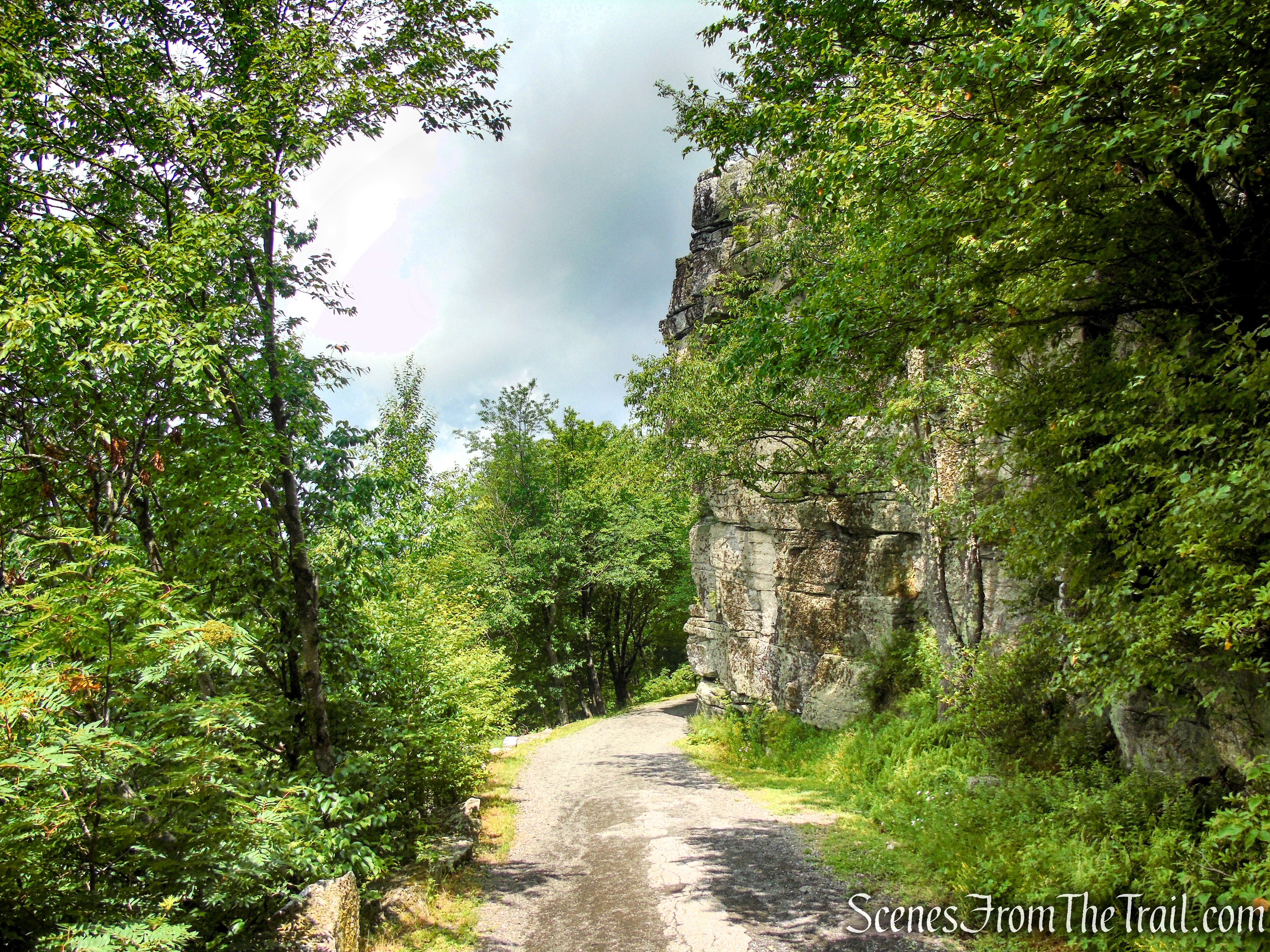 Loop Road - Sam's Point Area