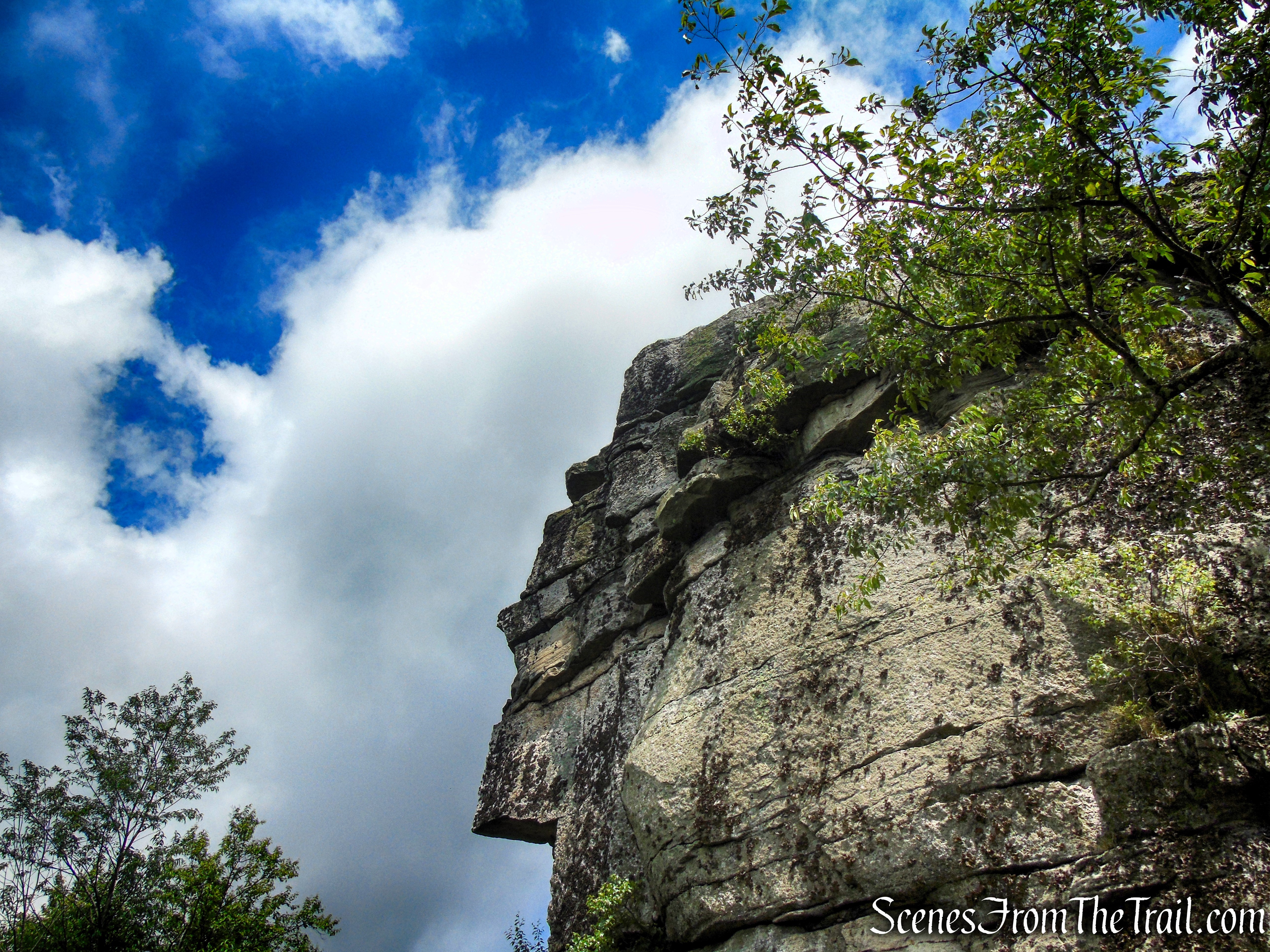 Loop Road - Sam's Point Area