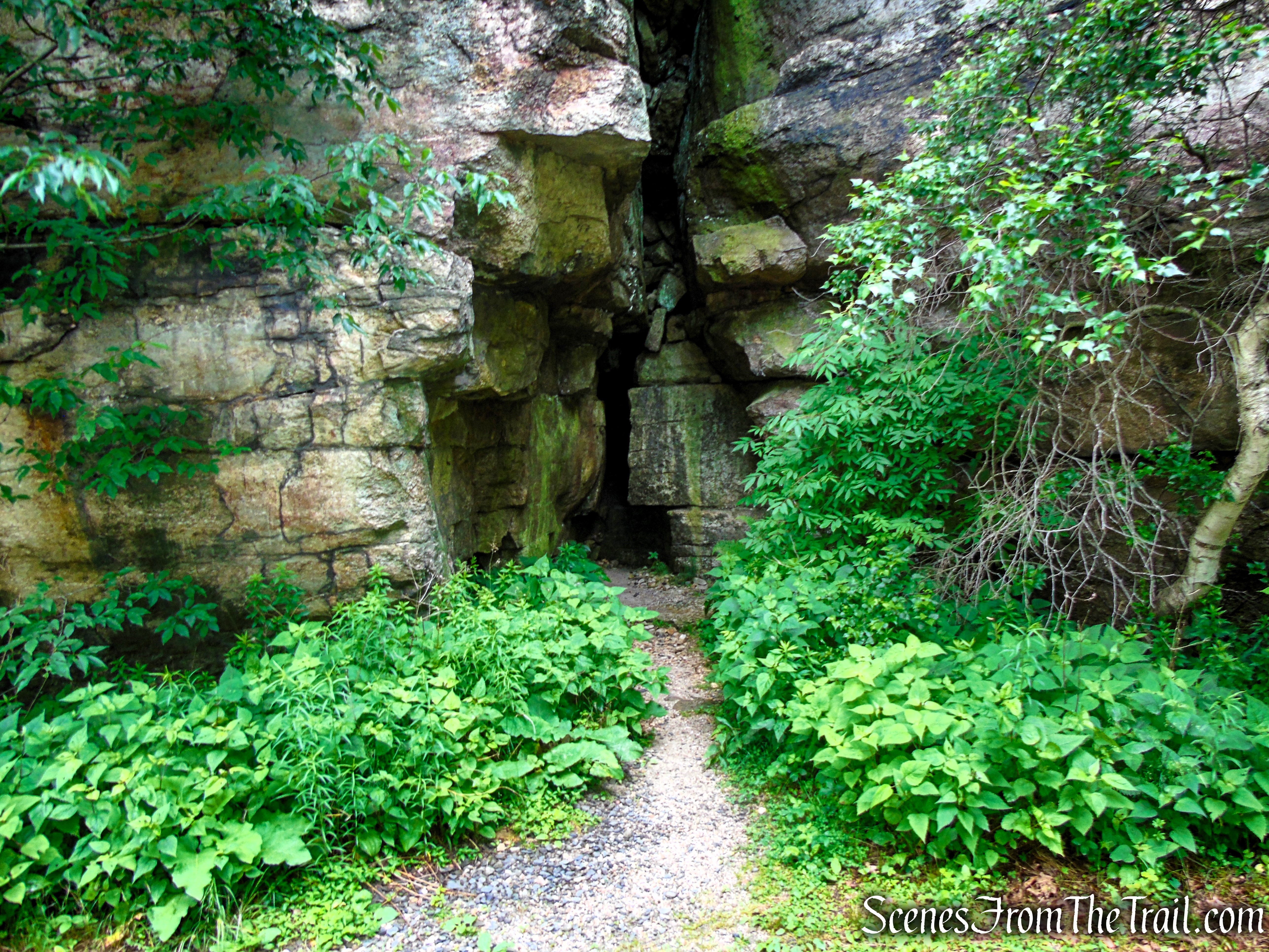 Loop Road - Sam's Point Area