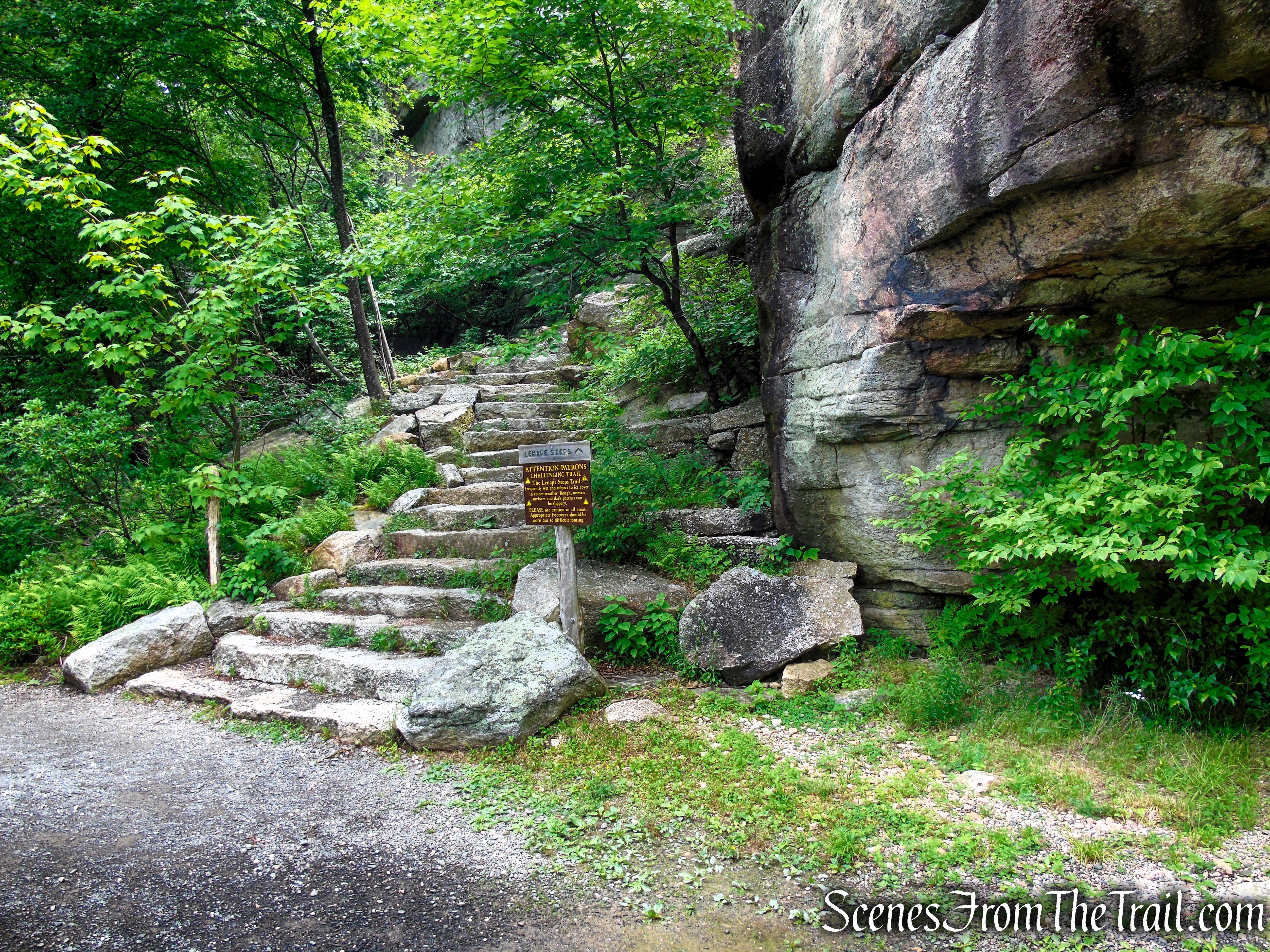 Loop Road - Sam's Point Area