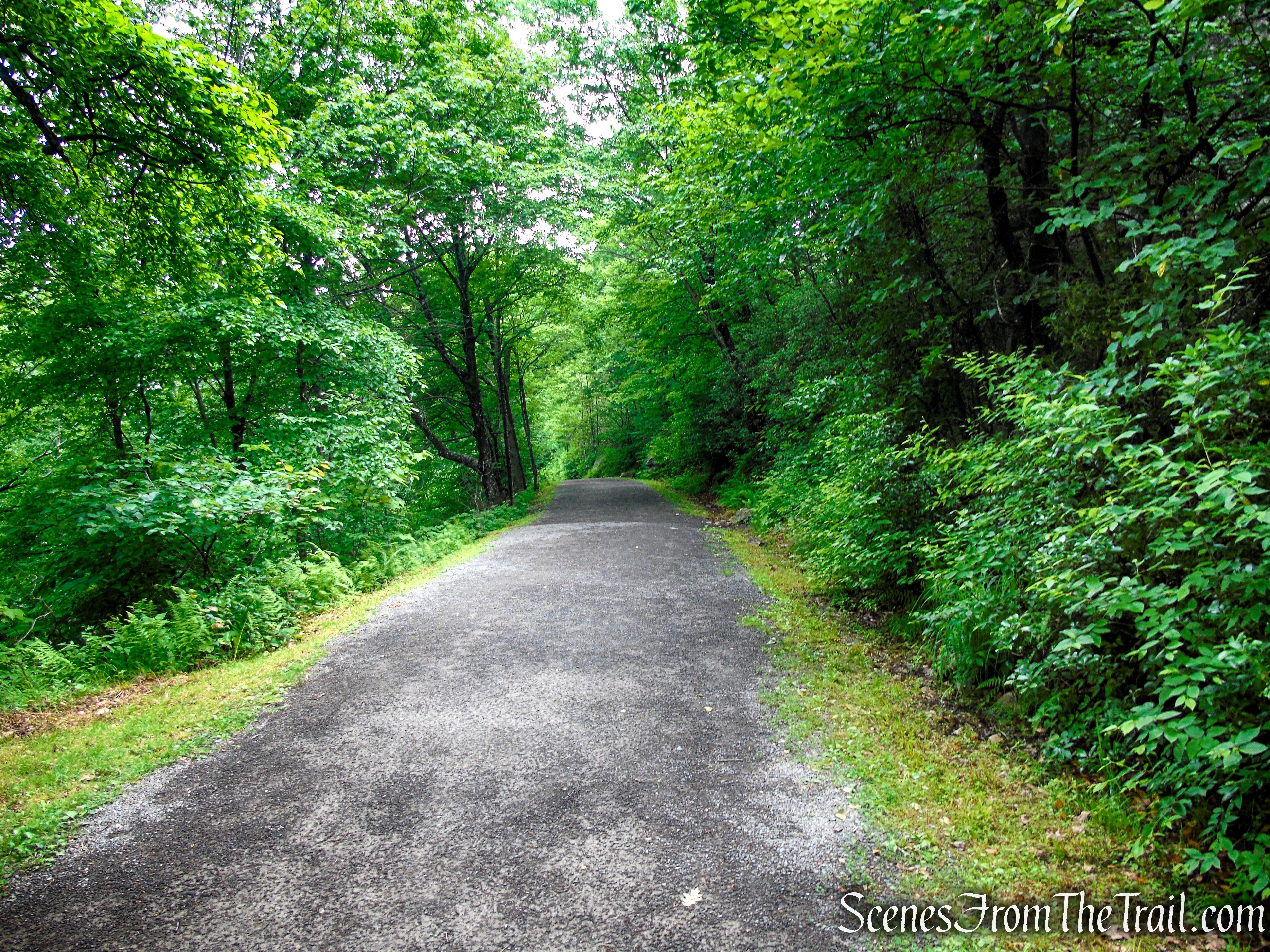 Loop Road - Sam's Point Area