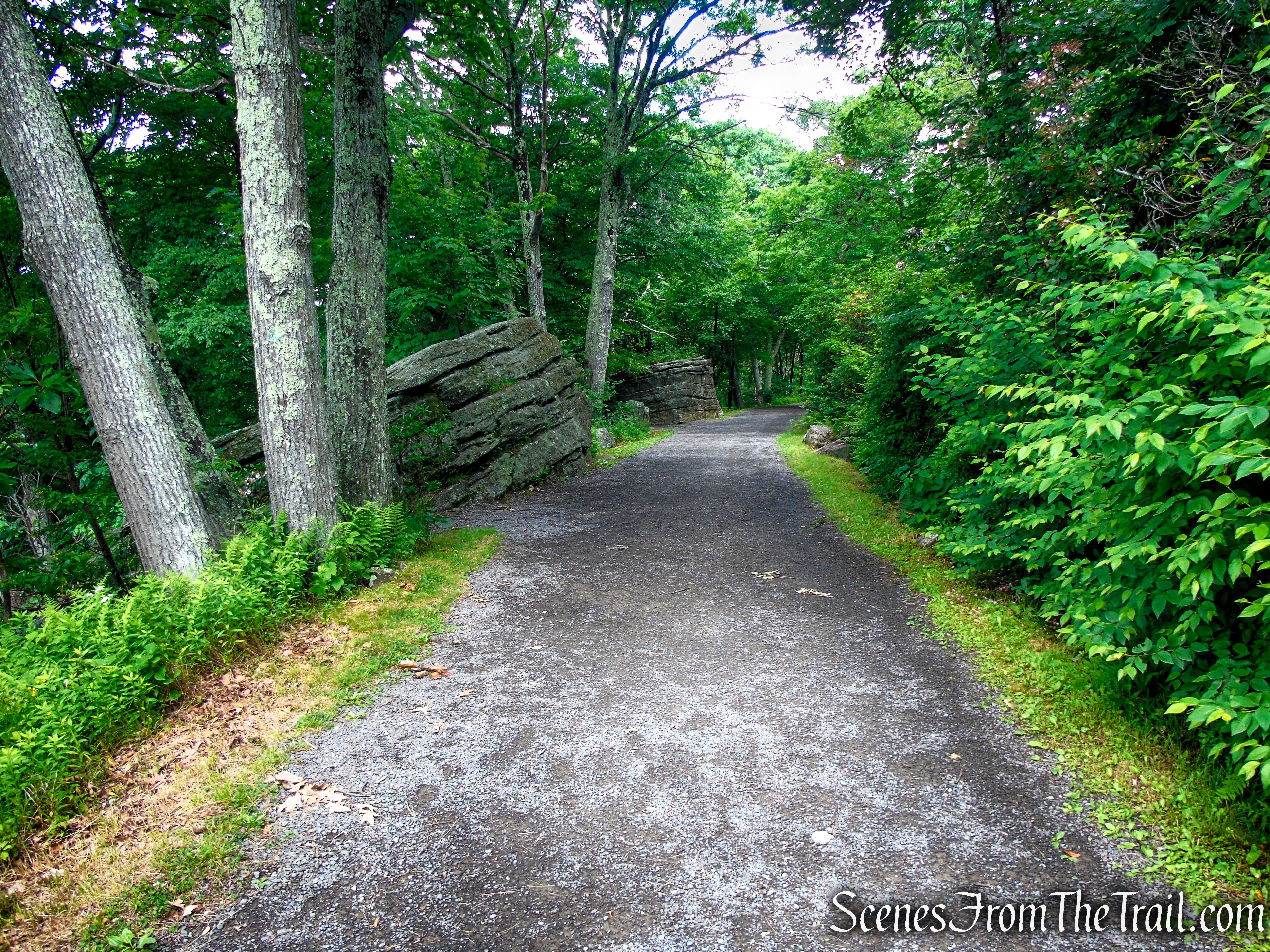 Loop Road - Sam's Point Area