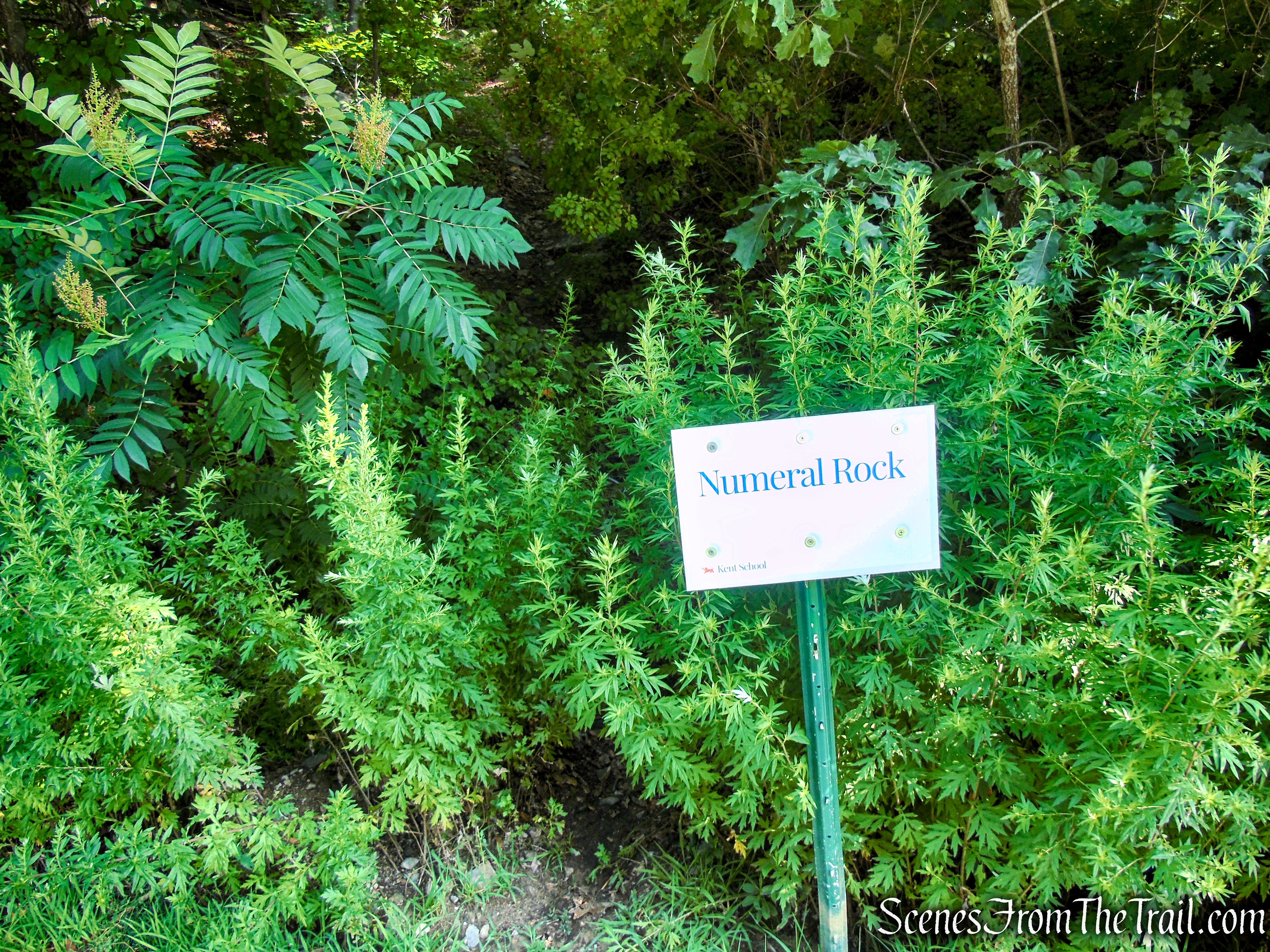 Numeral Rock Trailhead