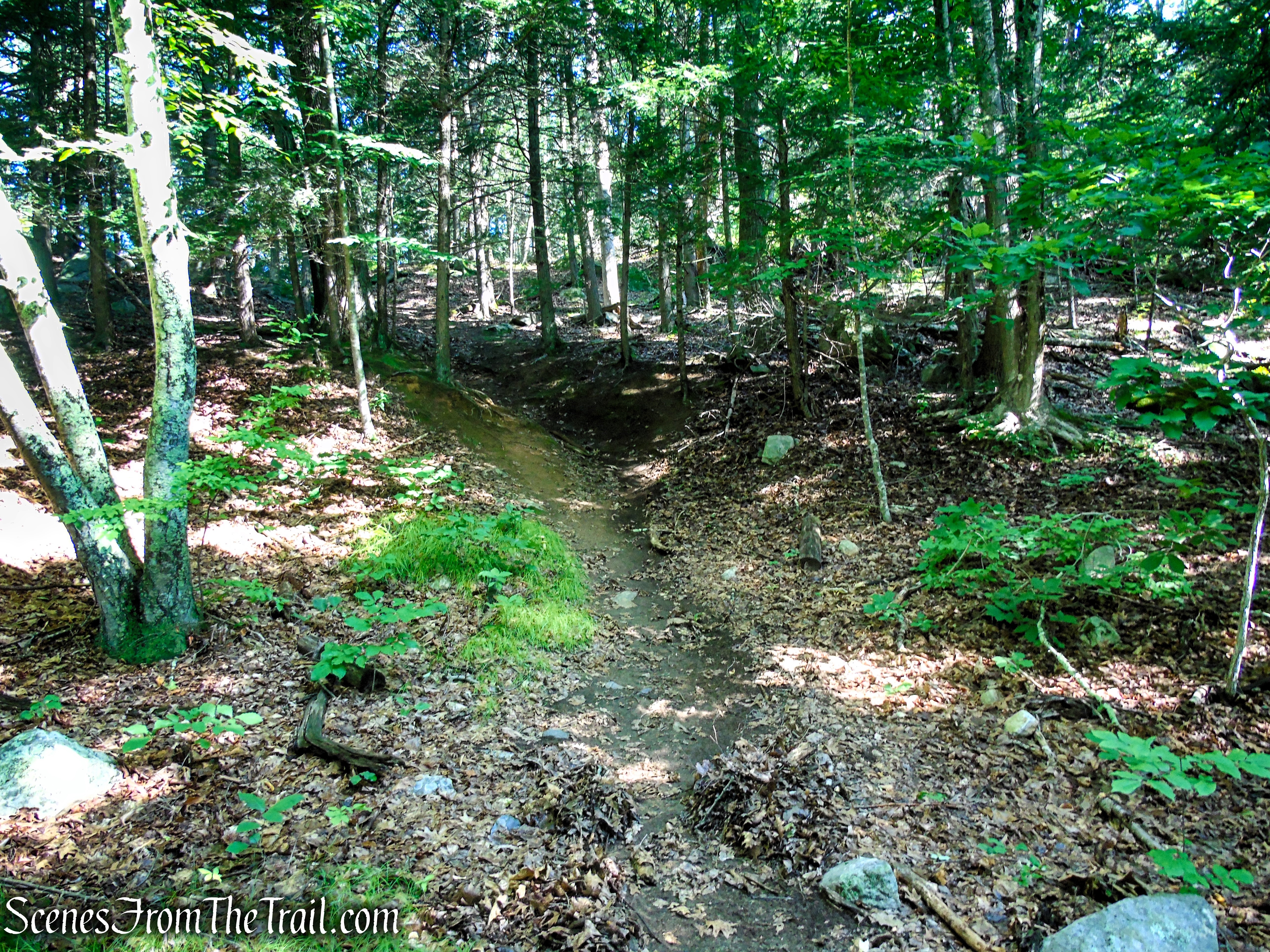 Numeral Rock Trail