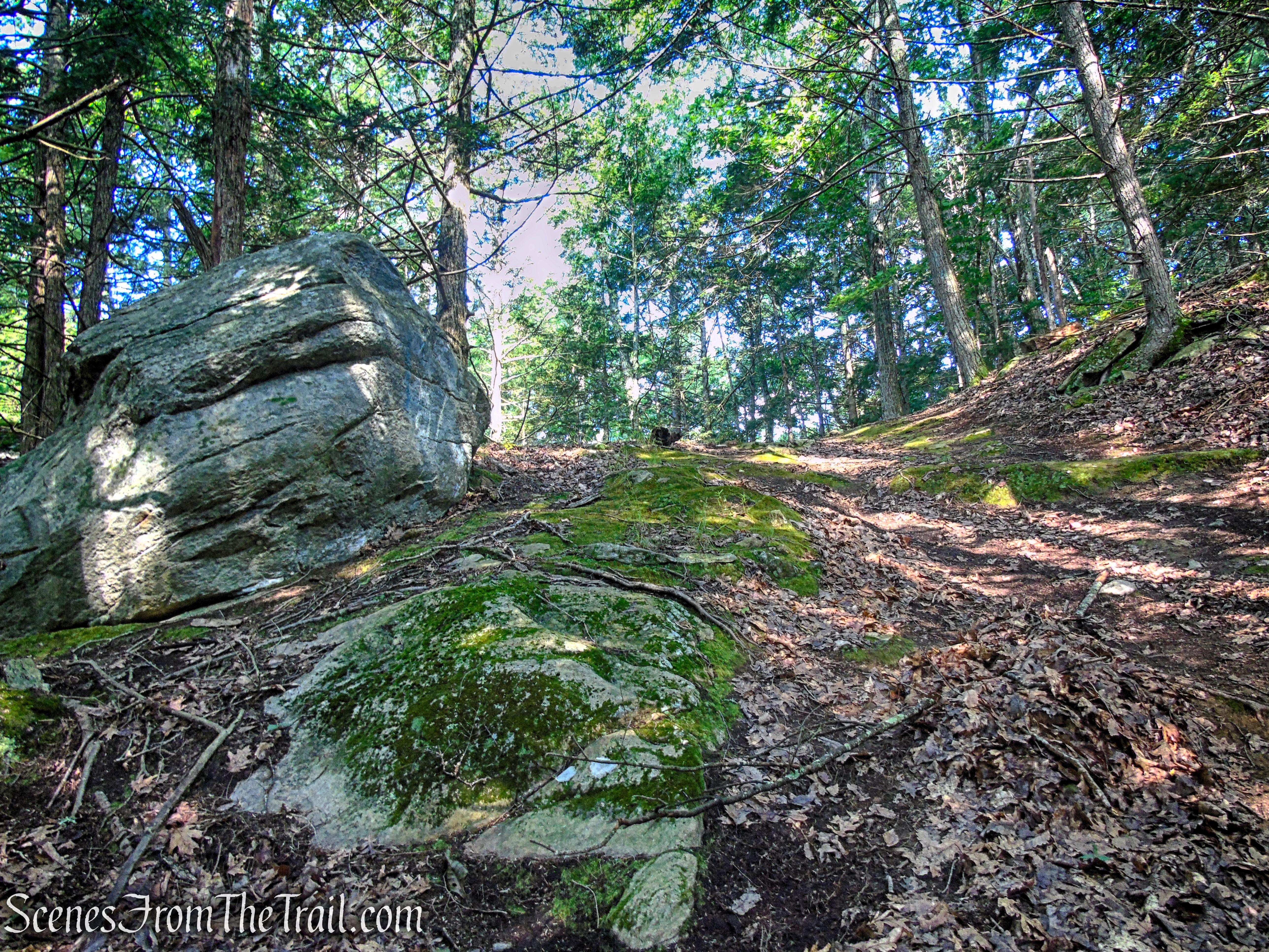 Numeral Rock Trail