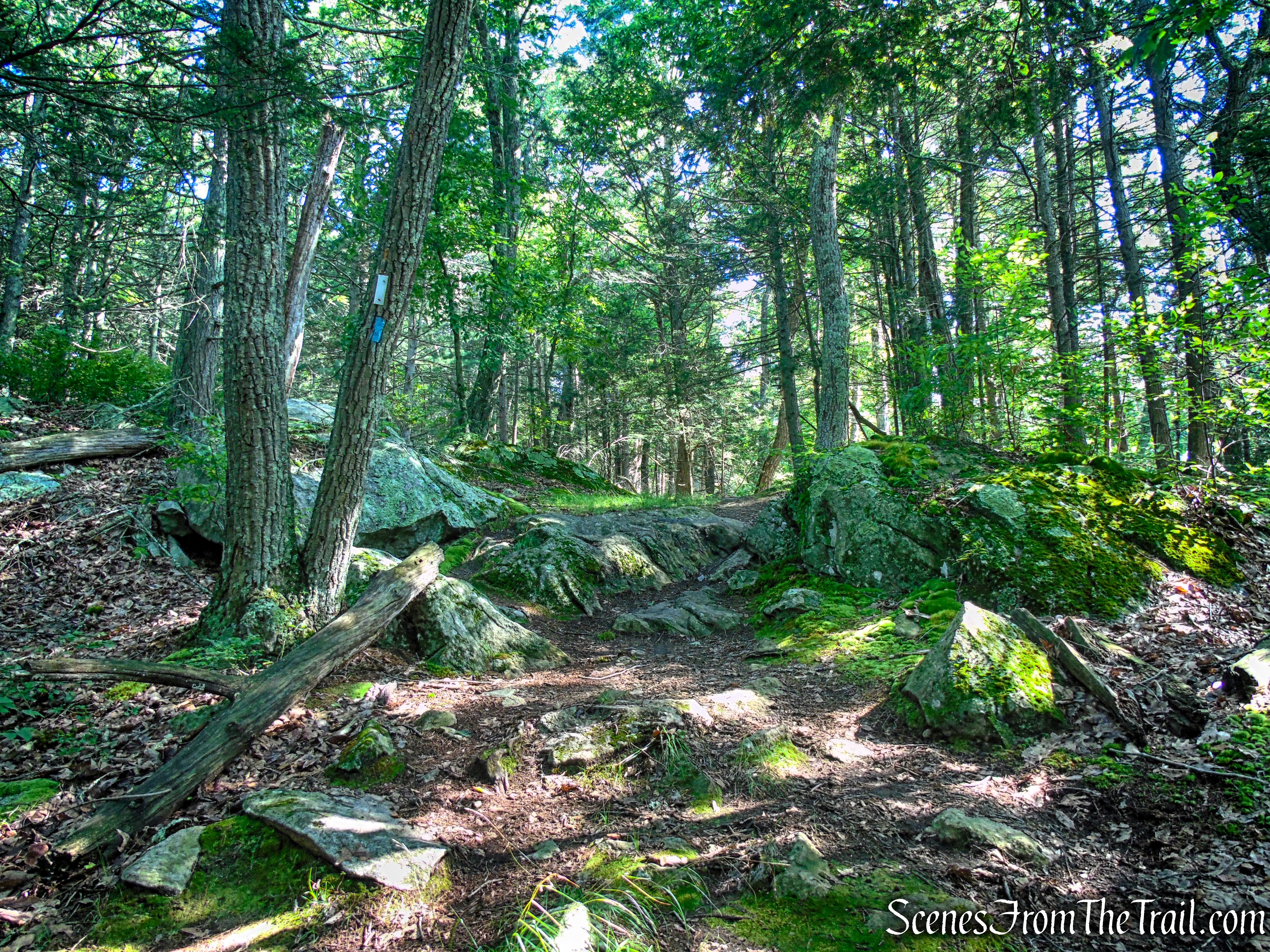 Numeral Rock Trail