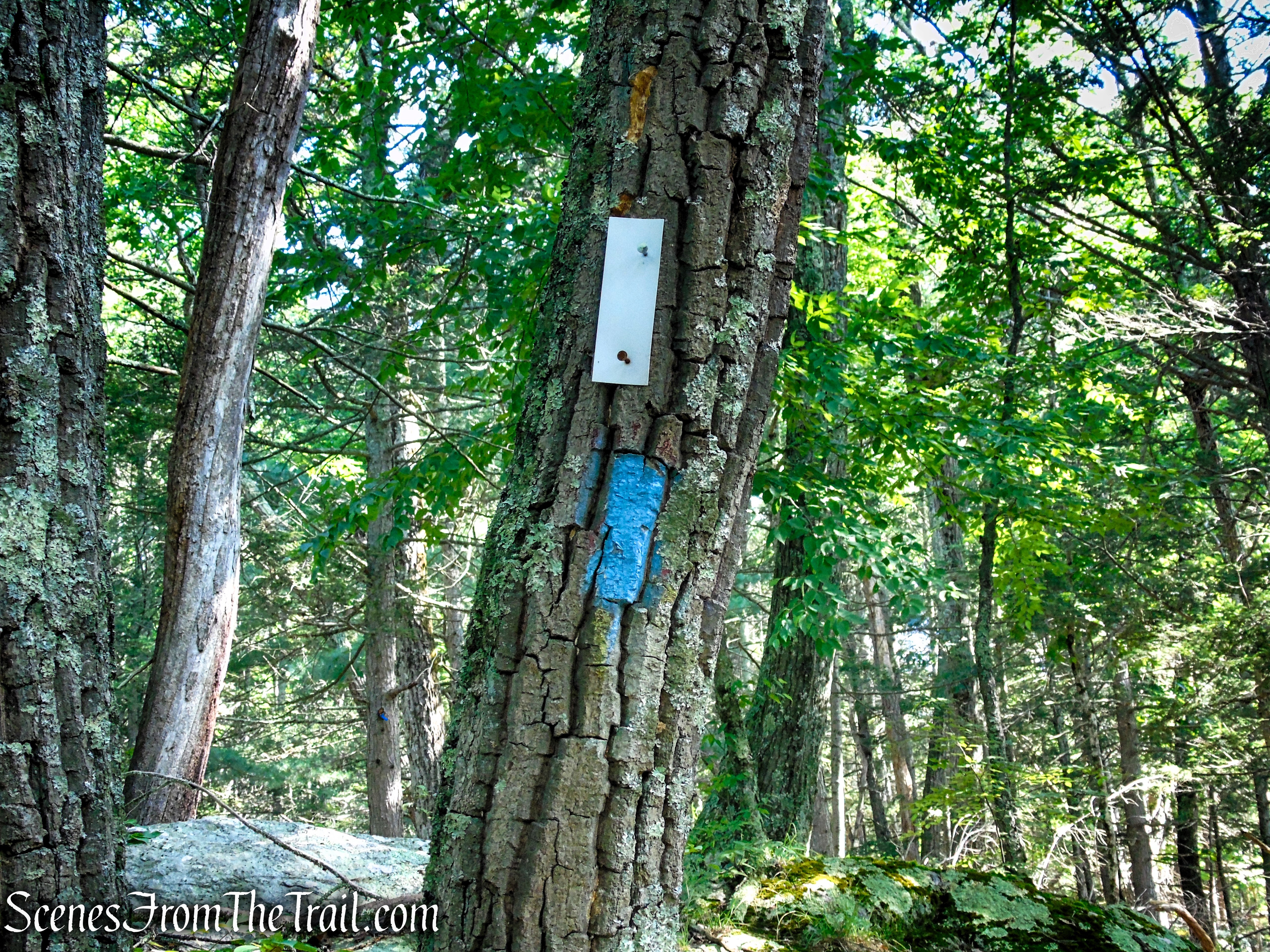Numeral Rock Trail - Appalachian Trail
