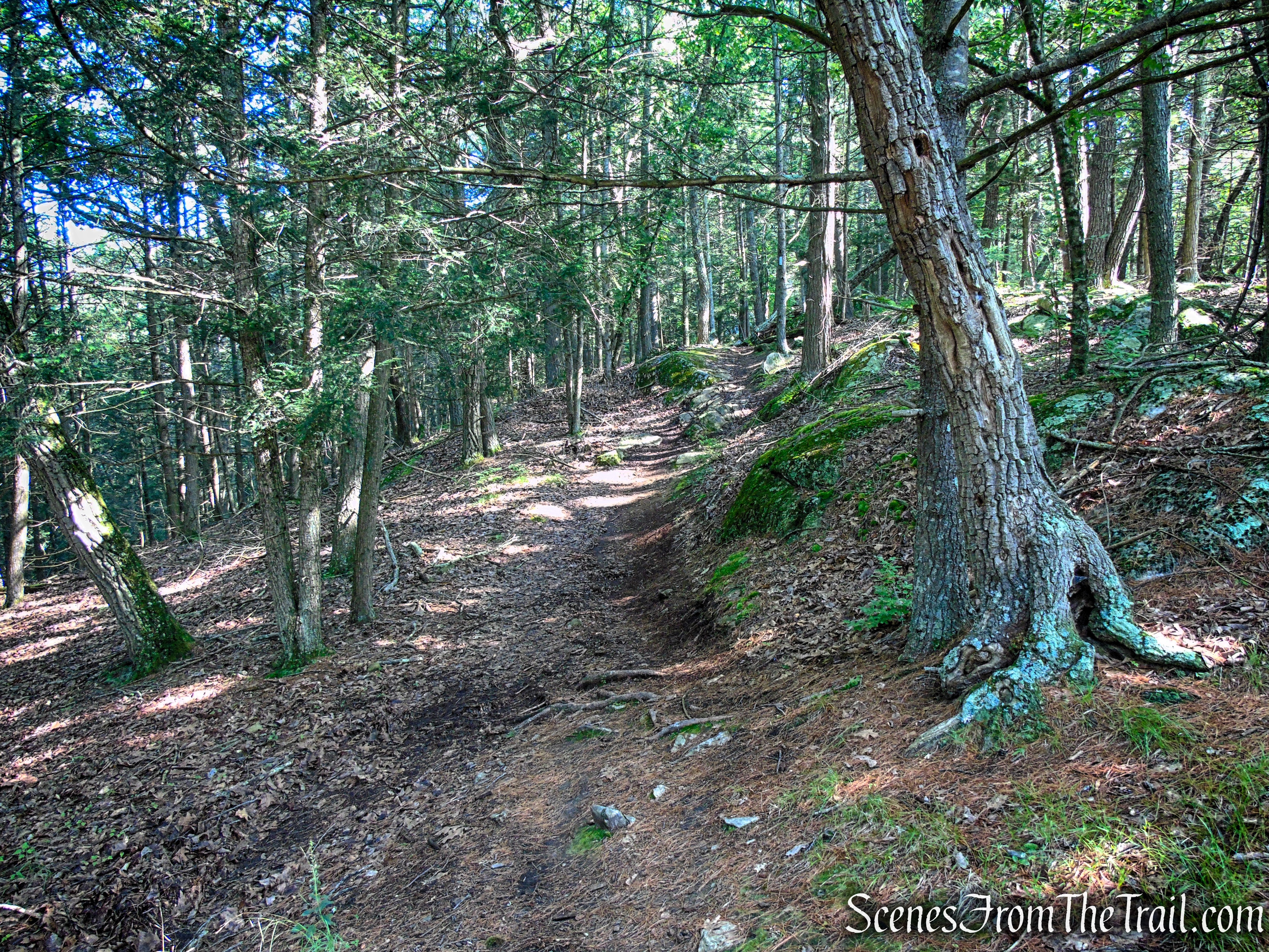 Numeral Rock Trail