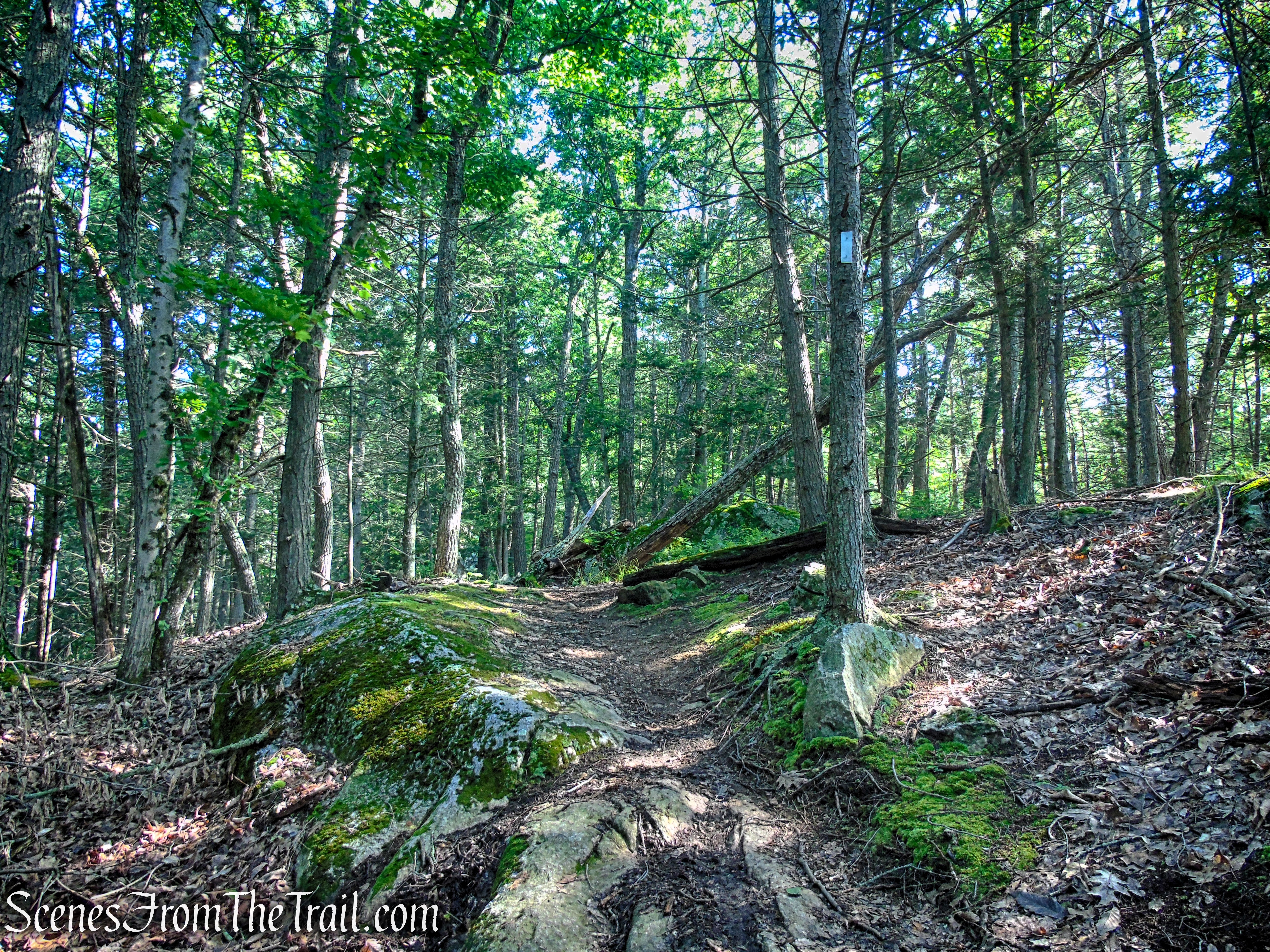 Numeral Rock Trail